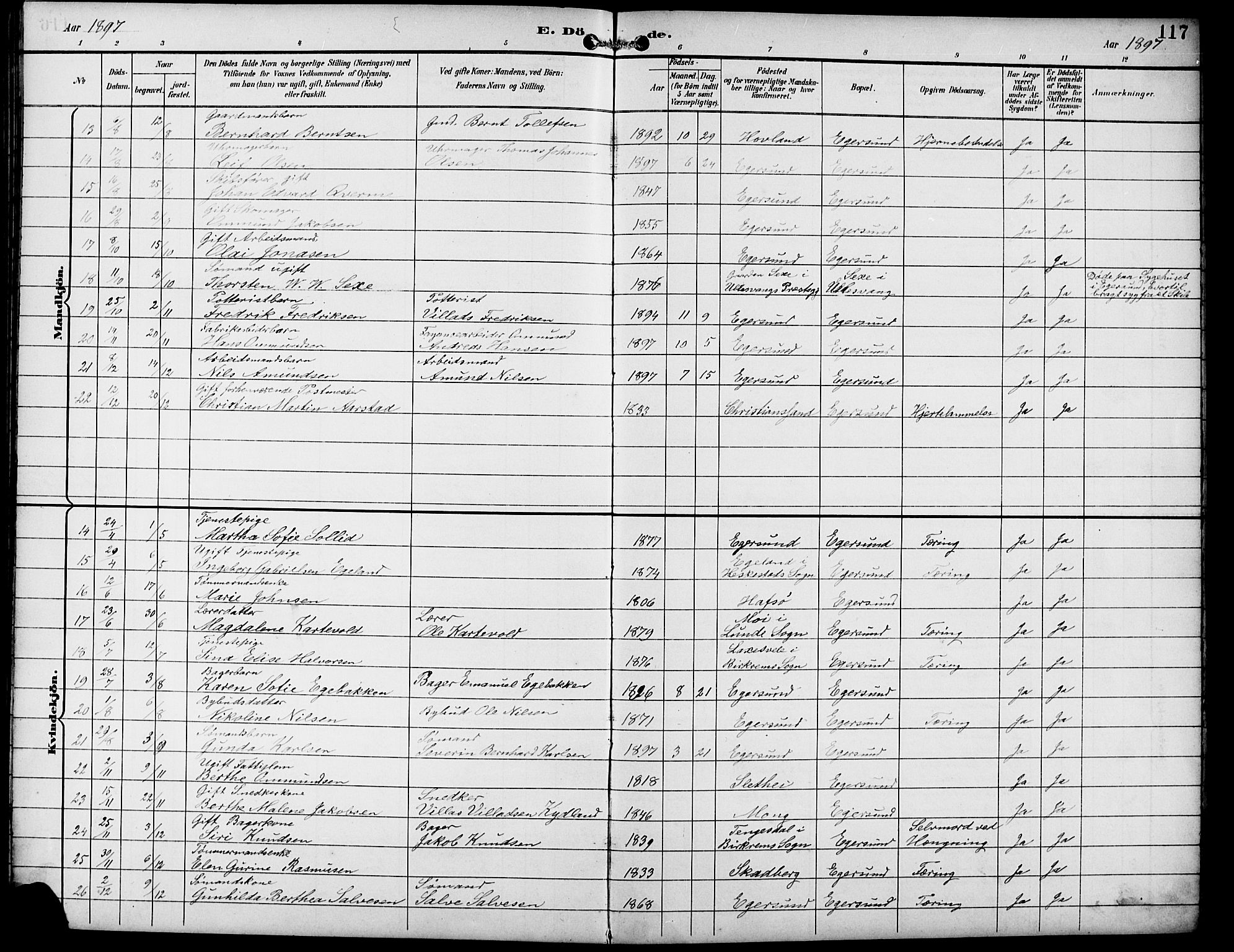 Eigersund sokneprestkontor, AV/SAST-A-101807/S09/L0010: Parish register (copy) no. B 10, 1893-1907, p. 117