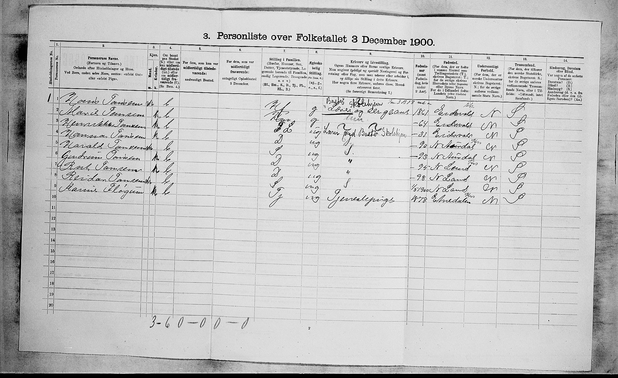 RA, 1900 census for Borre, 1900, p. 396