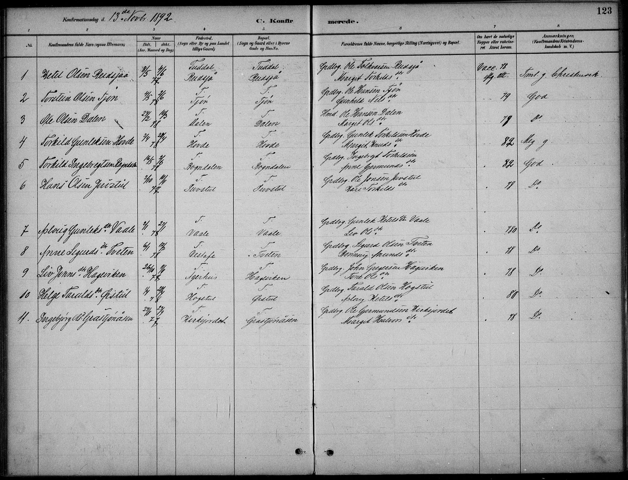 Hjartdal kirkebøker, SAKO/A-270/F/Fc/L0002: Parish register (official) no. III 2, 1880-1936, p. 123