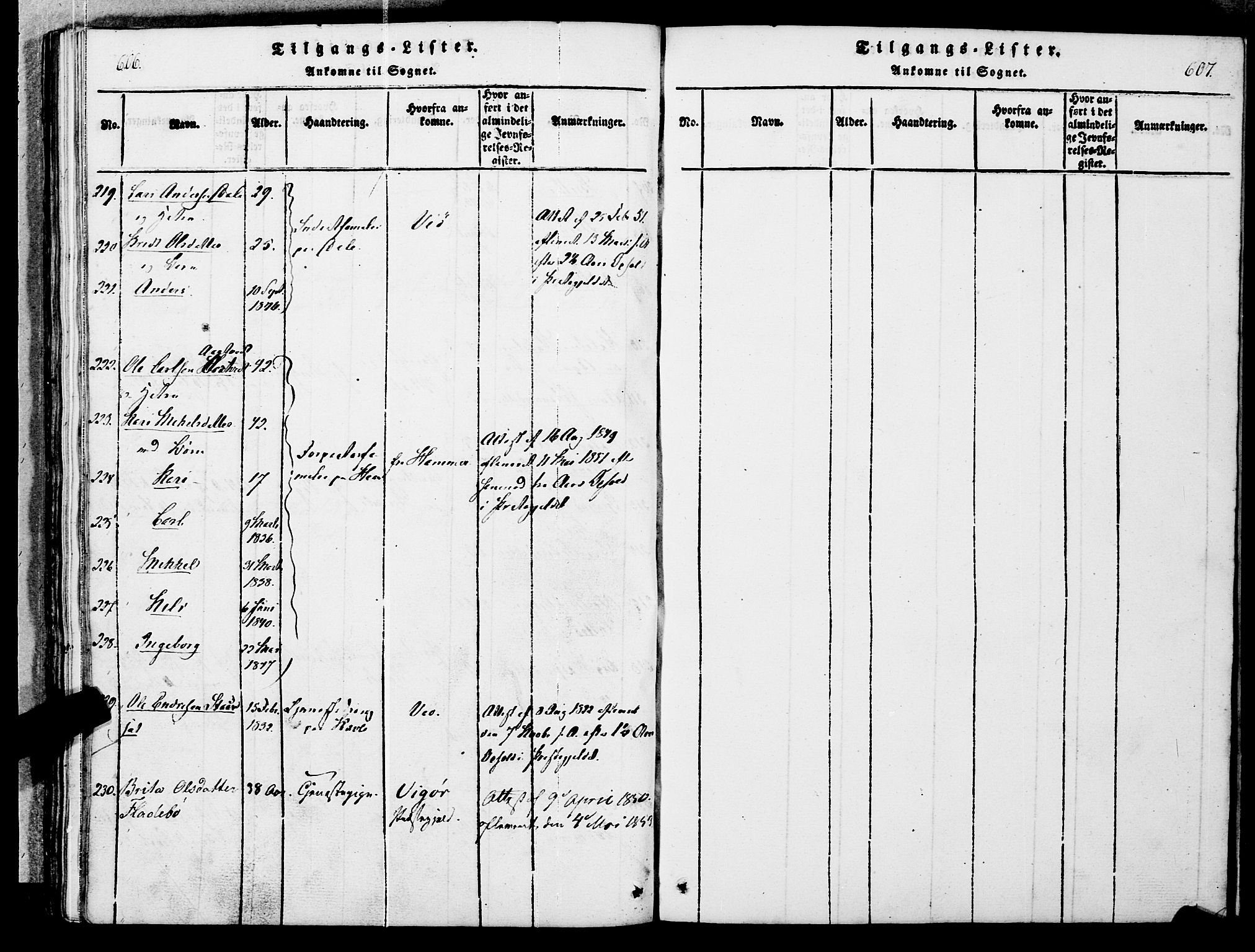 Ministerialprotokoller, klokkerbøker og fødselsregistre - Møre og Romsdal, SAT/A-1454/545/L0585: Parish register (official) no. 545A01, 1818-1853, p. 606-607