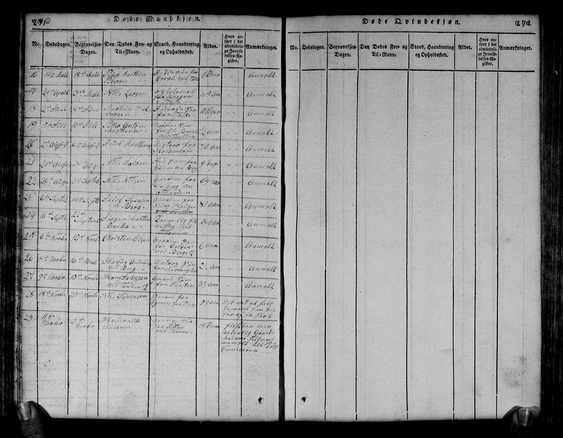 Brunlanes kirkebøker, AV/SAKO-A-342/G/Ga/L0001: Parish register (copy) no. I 1, 1814-1834, p. 271-272