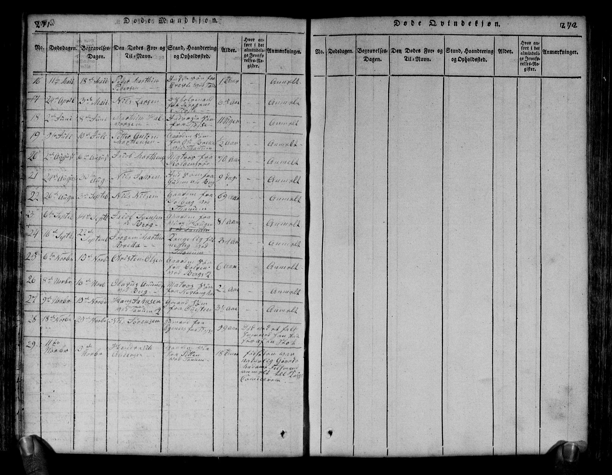 Brunlanes kirkebøker, SAKO/A-342/G/Ga/L0001: Parish register (copy) no. I 1, 1814-1834, p. 271-272