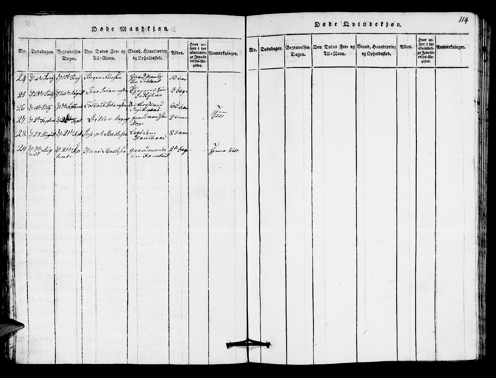 Lindås Sokneprestembete, AV/SAB-A-76701/H/Hab/Haba/L0001: Parish register (copy) no. A 1, 1816-1823, p. 114