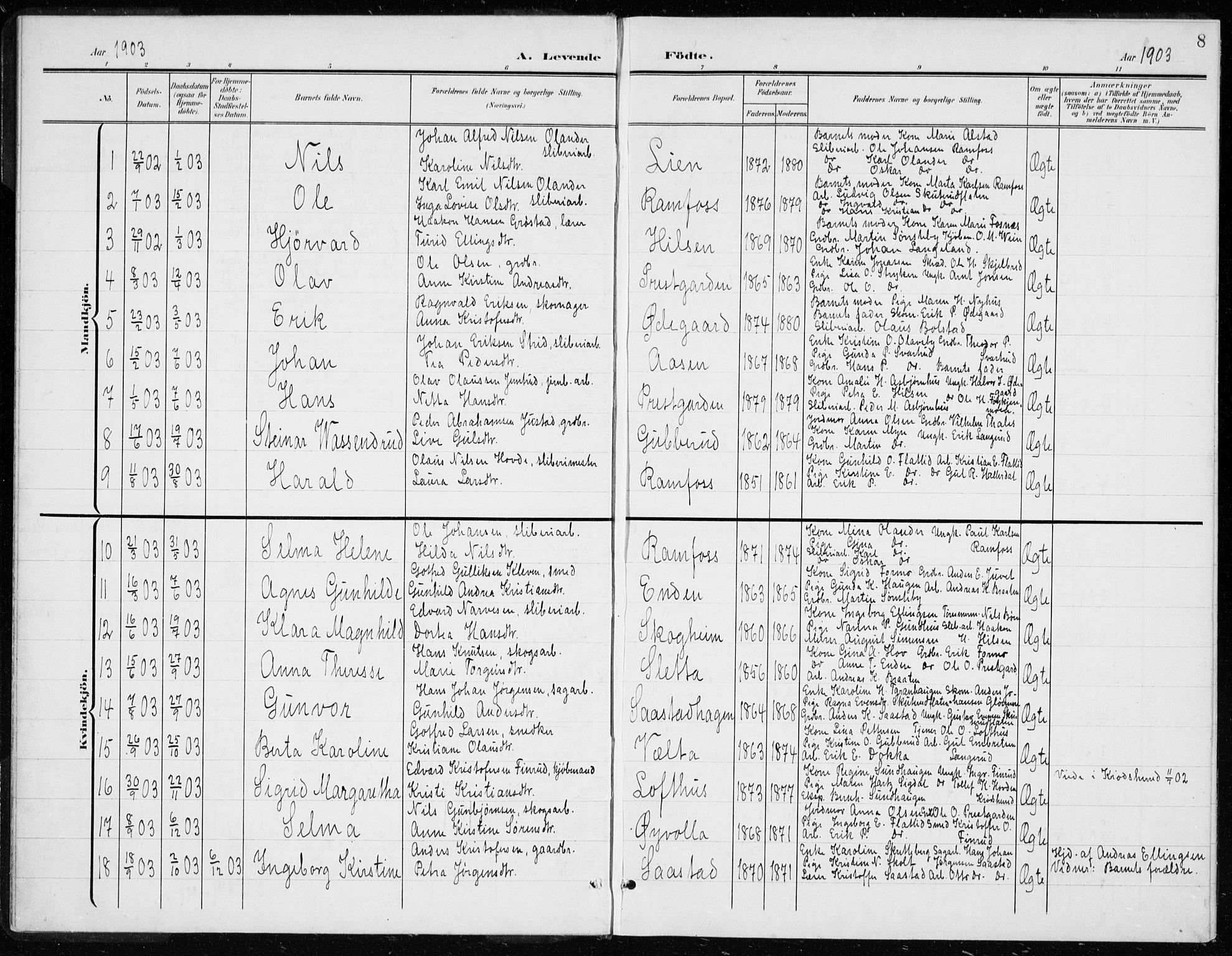 Modum kirkebøker, AV/SAKO-A-234/G/Gd/L0001: Parish register (copy) no. IV 1, 1901-1921, p. 8