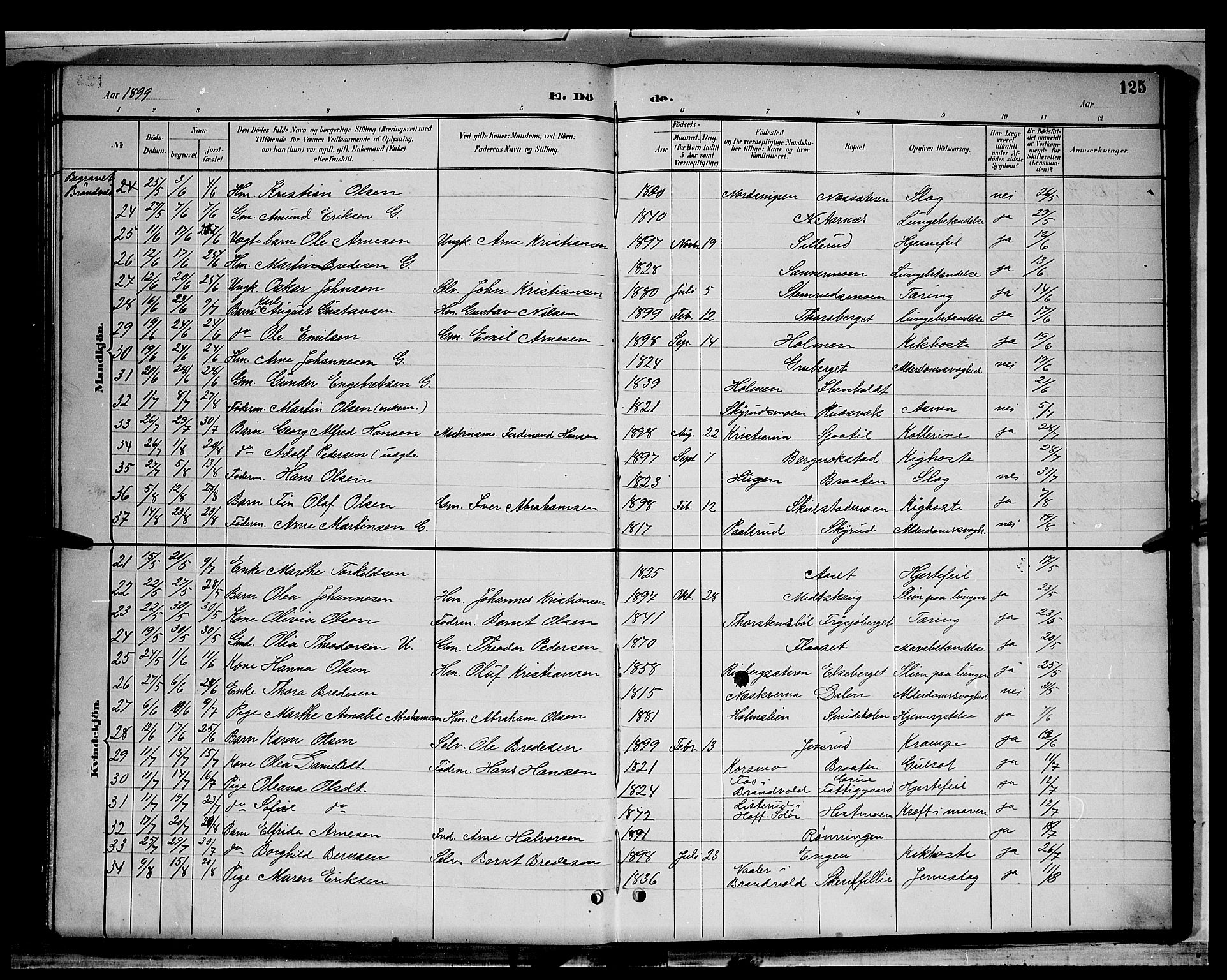 Grue prestekontor, AV/SAH-PREST-036/H/Ha/Hab/L0003: Parish register (copy) no. 3, 1895-1899, p. 125