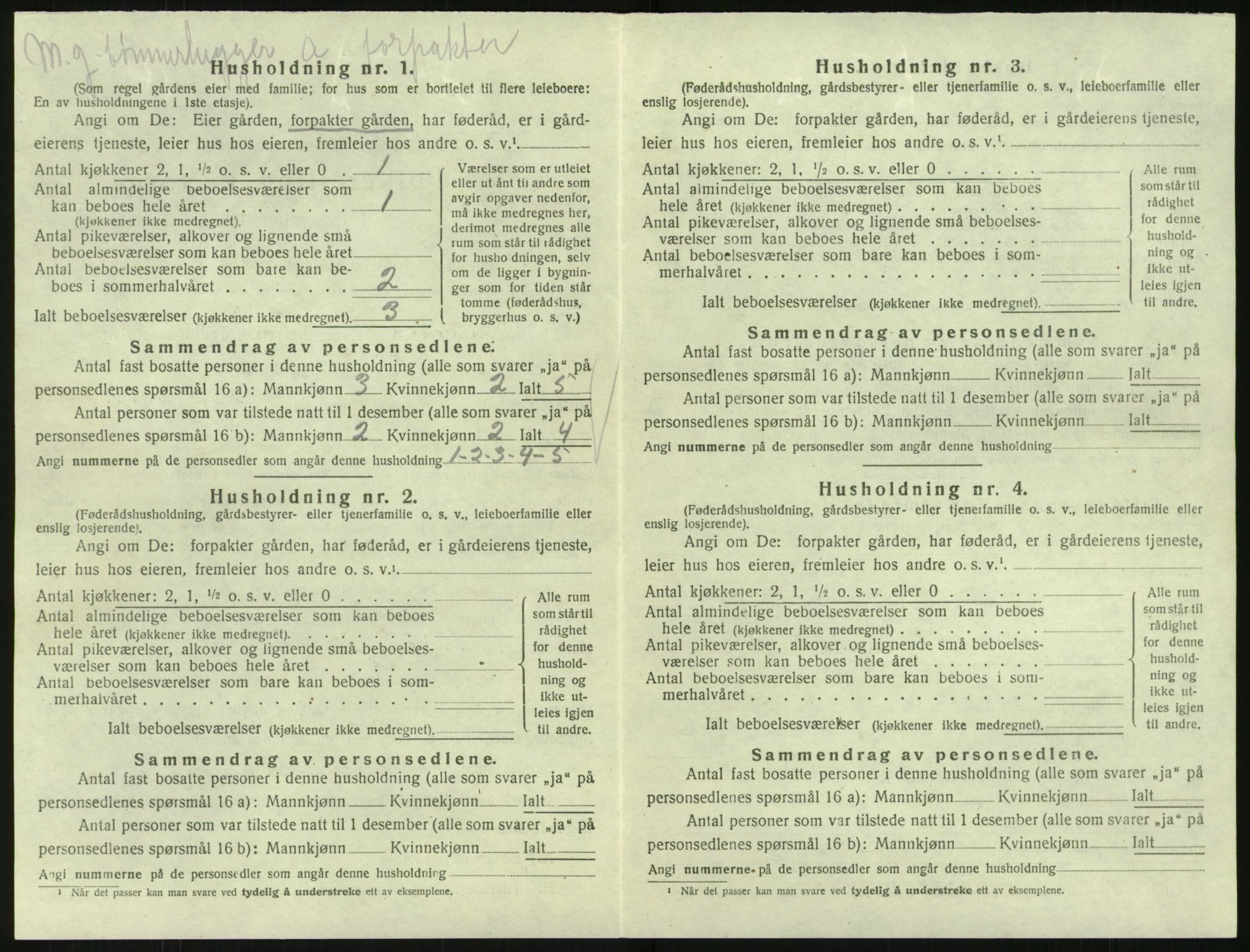 SAK, 1920 census for Søndeled, 1920, p. 734