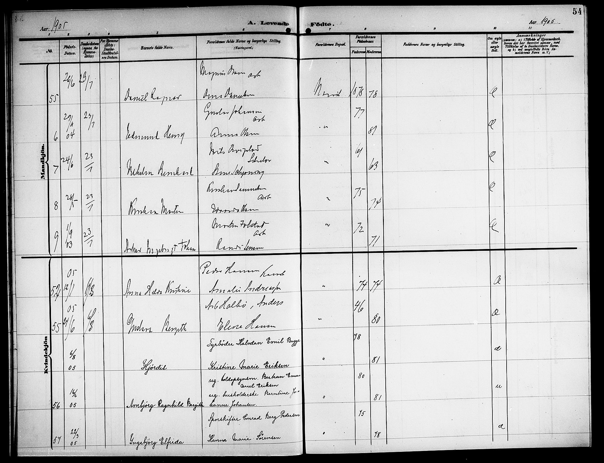 Ministerialprotokoller, klokkerbøker og fødselsregistre - Nordland, AV/SAT-A-1459/871/L1012: Parish register (copy) no. 871C01, 1902-1909, p. 54