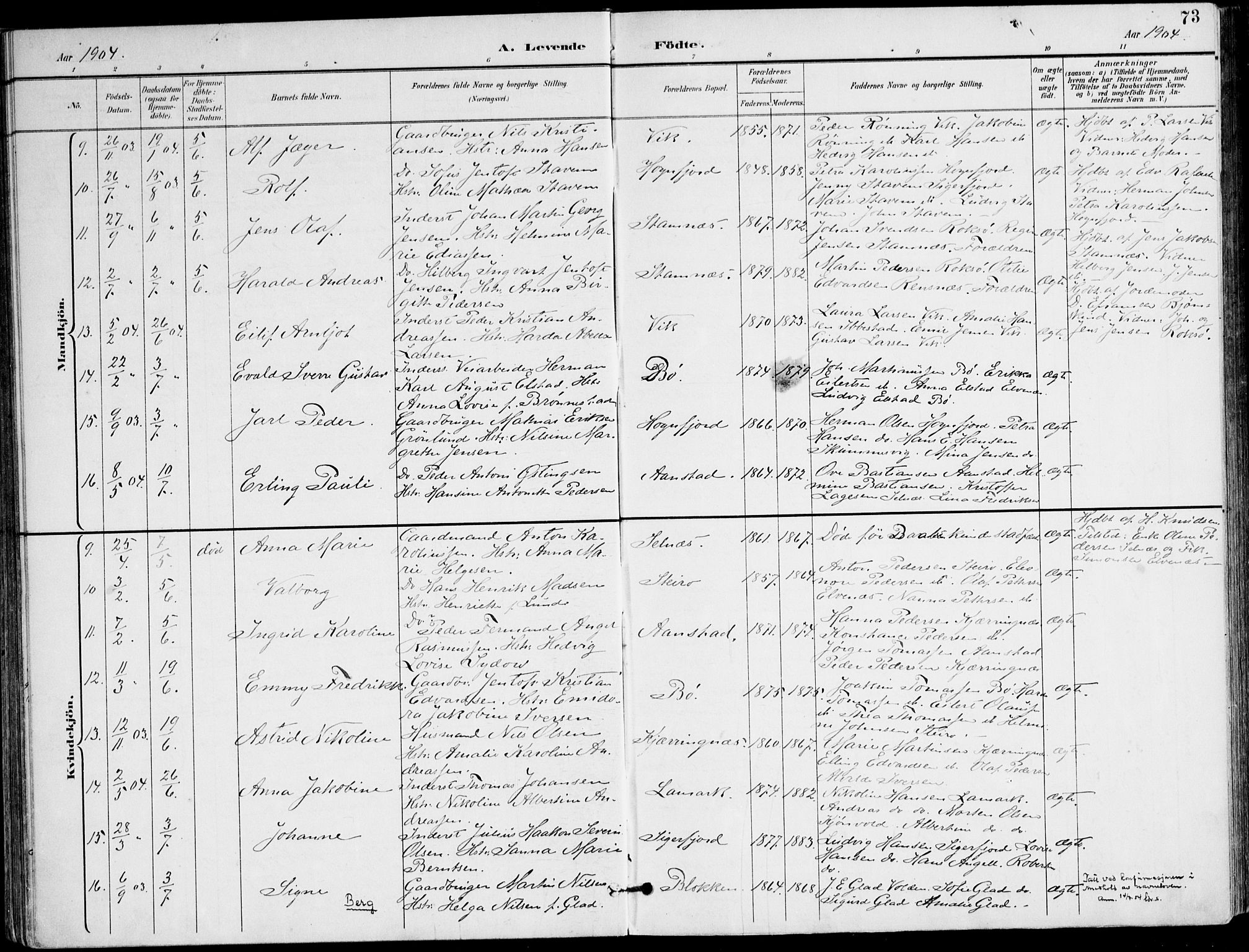 Ministerialprotokoller, klokkerbøker og fødselsregistre - Nordland, AV/SAT-A-1459/895/L1372: Parish register (official) no. 895A07, 1894-1914, p. 73