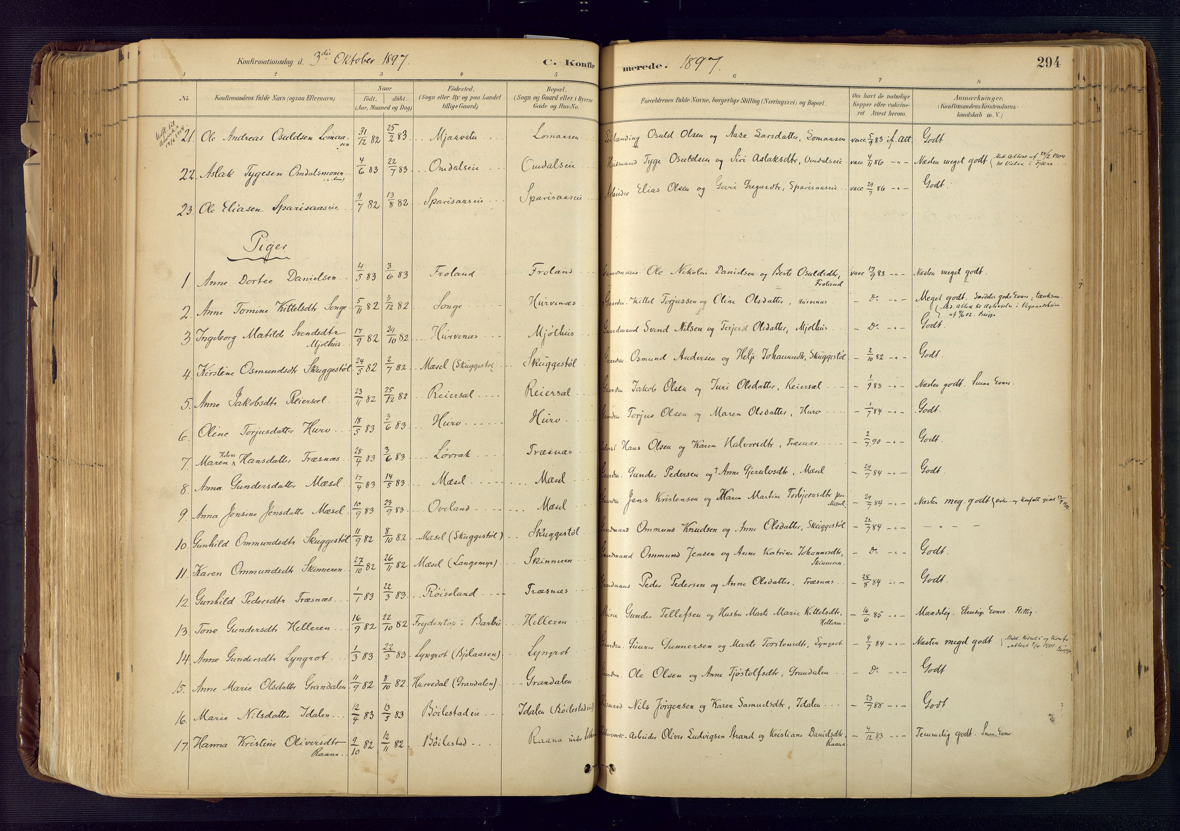 Froland sokneprestkontor, SAK/1111-0013/F/Fa/L0005: Parish register (official) no. A 5, 1882-1921, p. 294