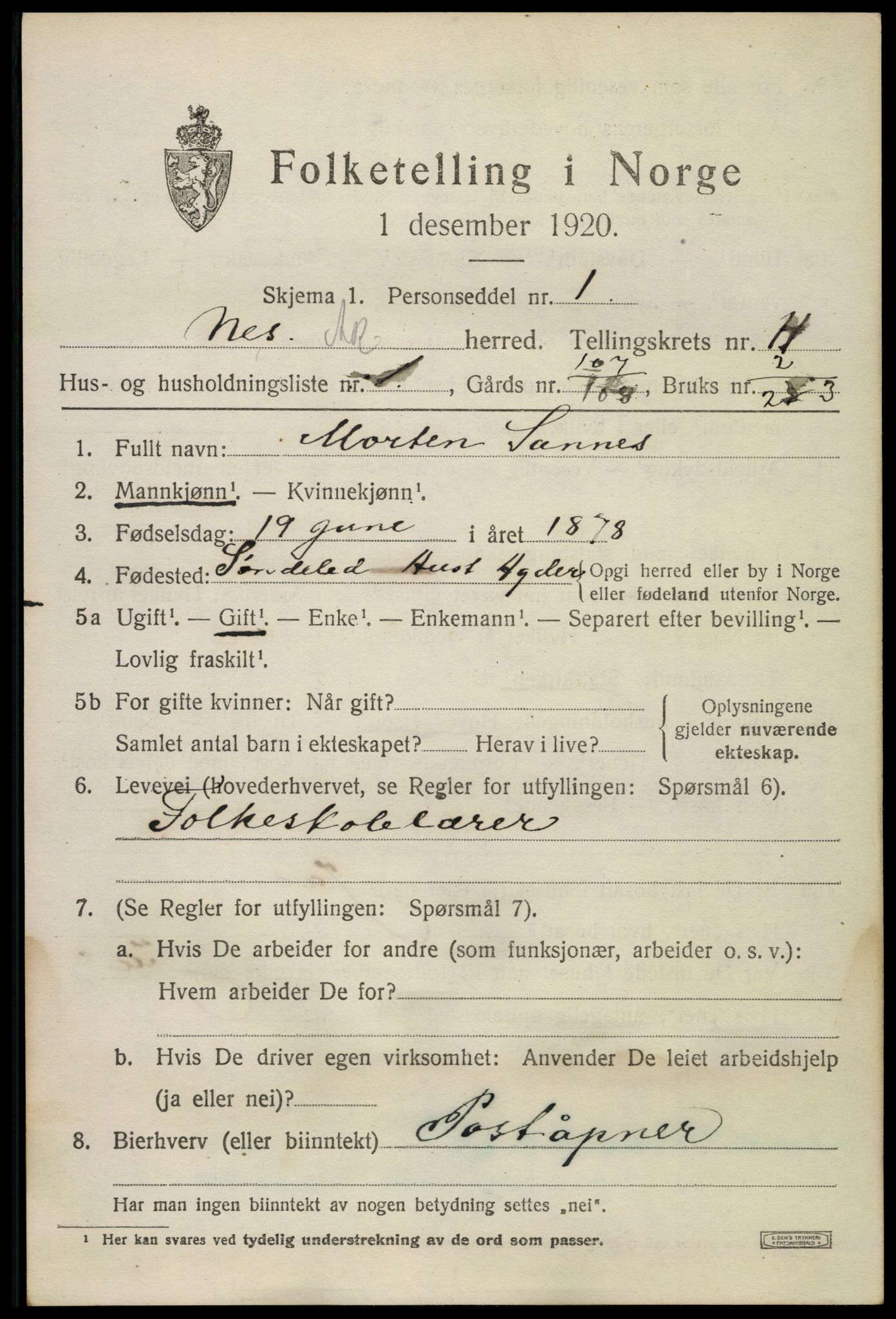SAO, 1920 census for Nes, 1920, p. 11388