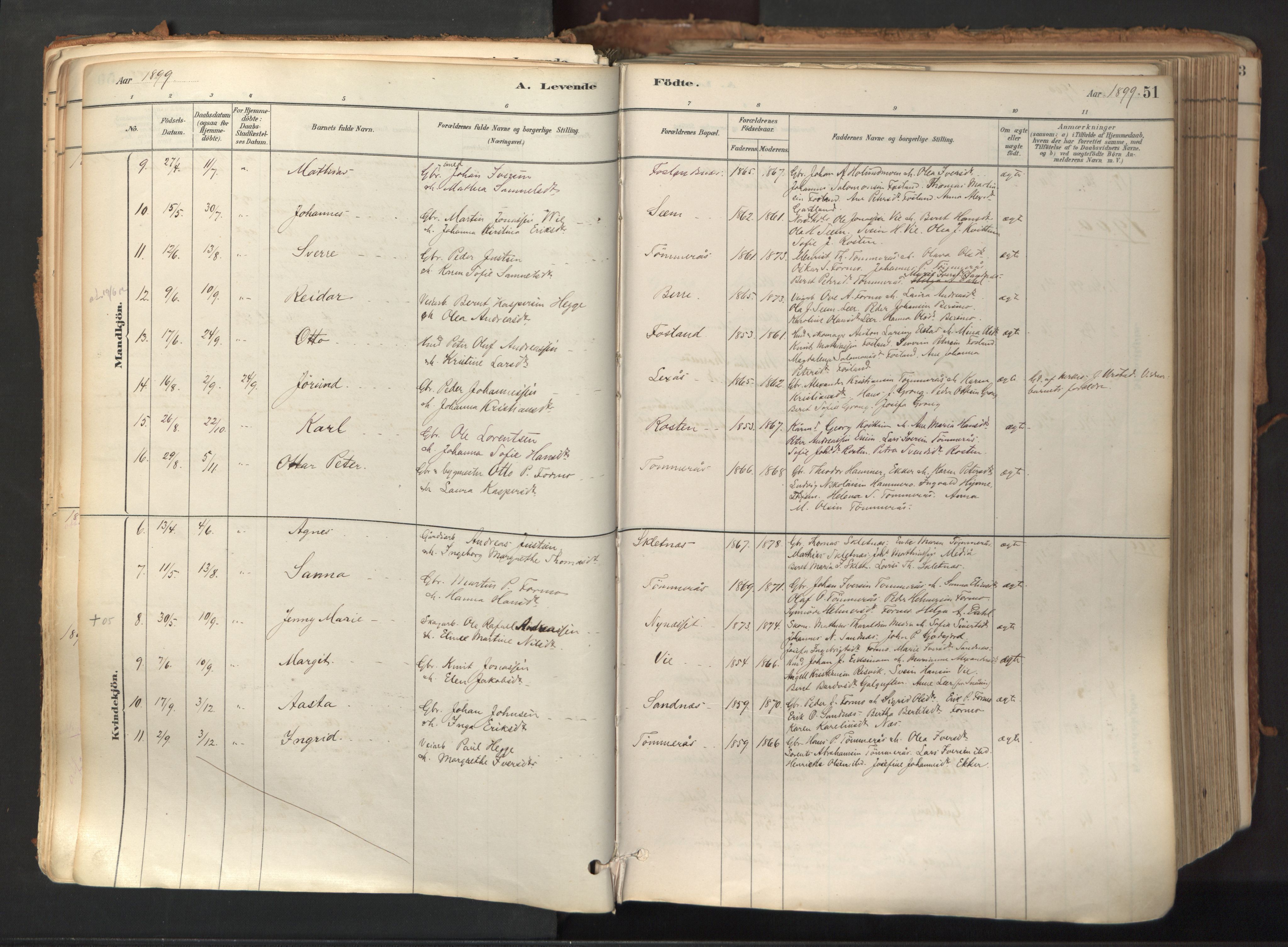 Ministerialprotokoller, klokkerbøker og fødselsregistre - Nord-Trøndelag, SAT/A-1458/758/L0519: Parish register (official) no. 758A04, 1880-1926, p. 51