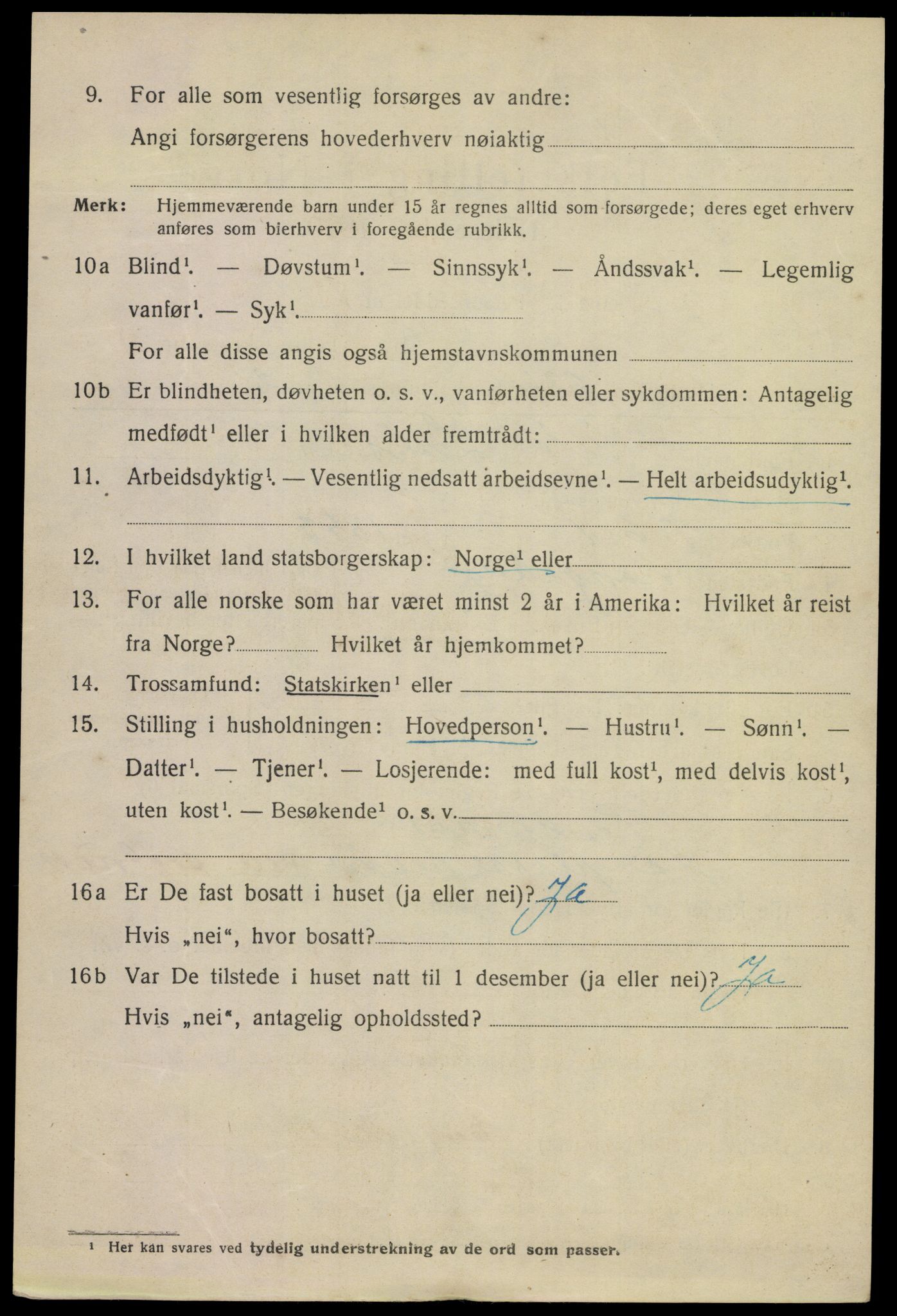 SAKO, 1920 census for Porsgrunn, 1920, p. 17346