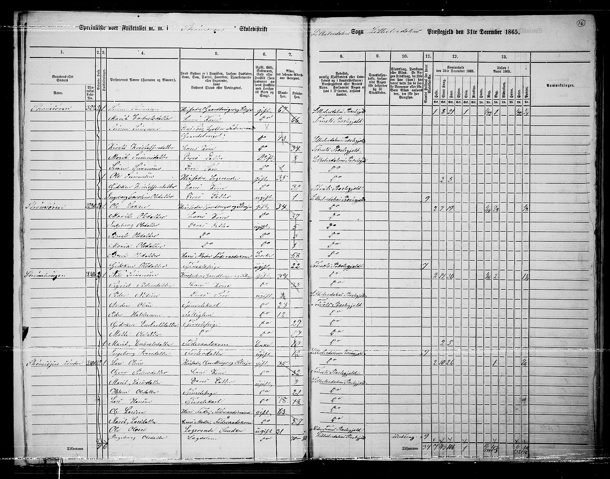 RA, 1865 census for Lille Elvedalen, 1865, p. 15