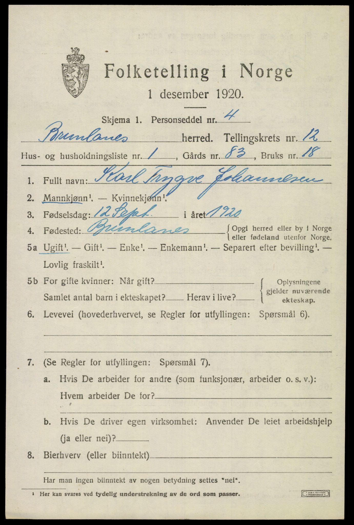 SAKO, 1920 census for Brunlanes, 1920, p. 10509