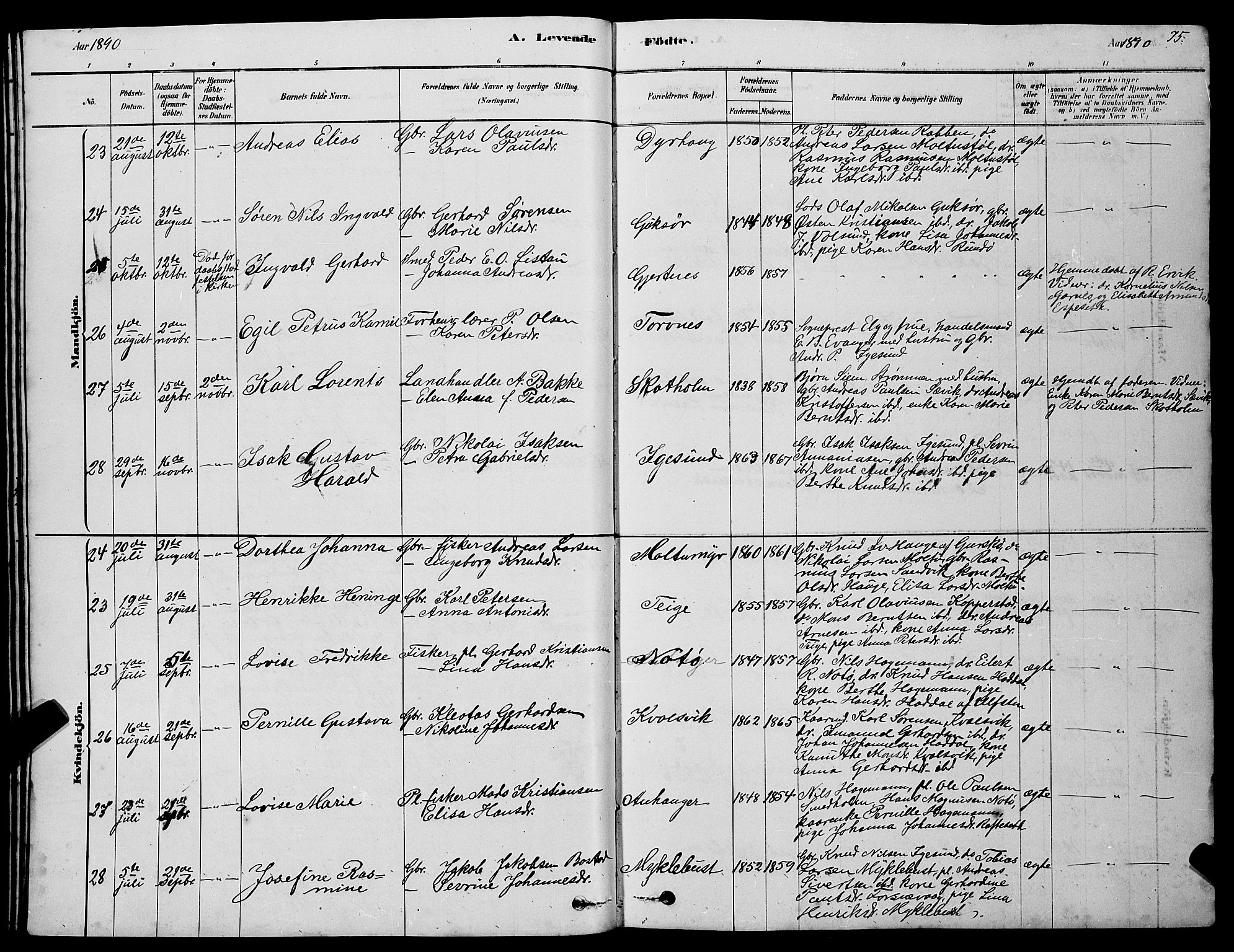 Ministerialprotokoller, klokkerbøker og fødselsregistre - Møre og Romsdal, AV/SAT-A-1454/507/L0081: Parish register (copy) no. 507C04, 1878-1898, p. 75