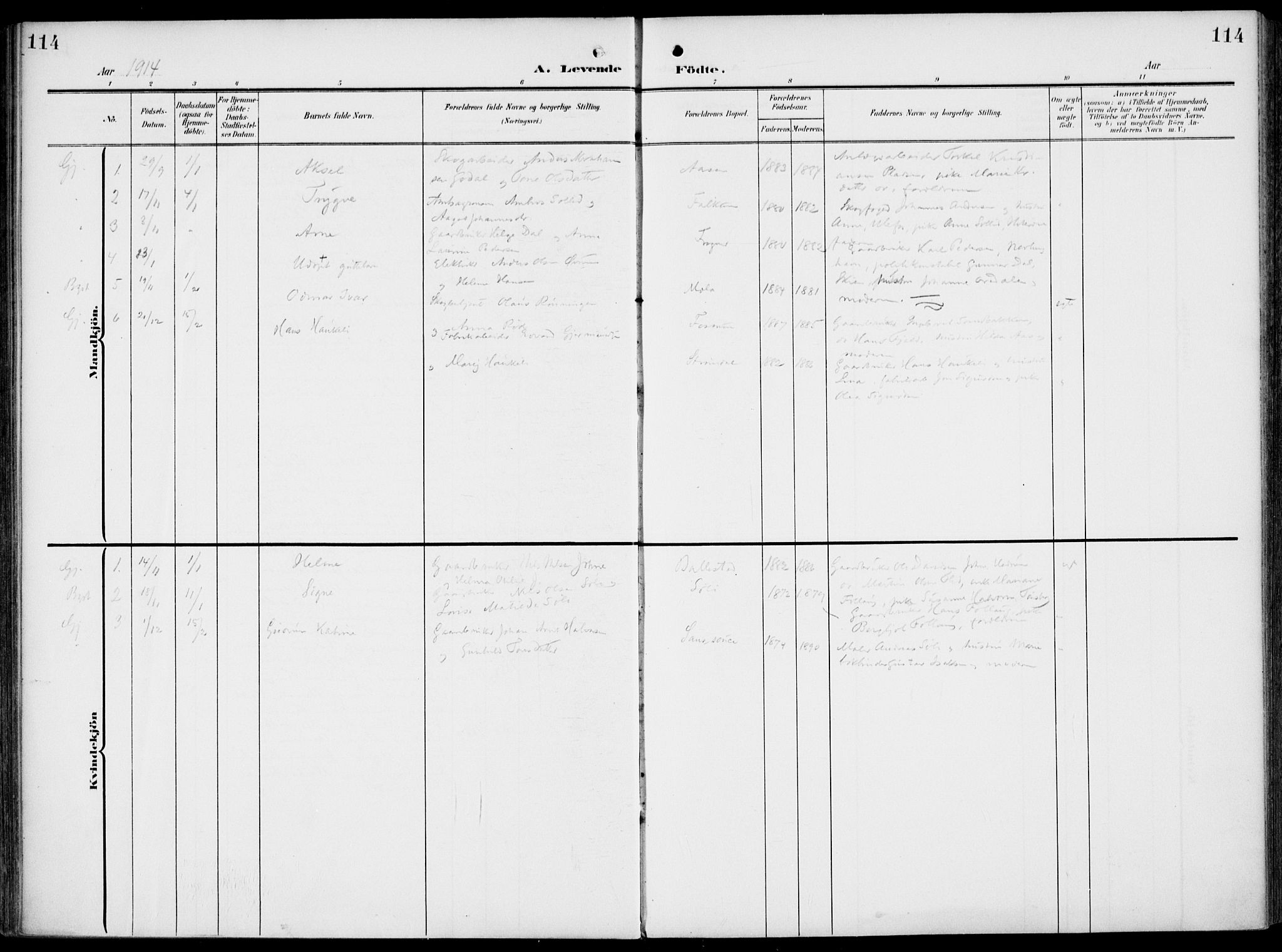 Gjerpen kirkebøker, SAKO/A-265/F/Fa/L0012: Parish register (official) no. I 12, 1905-1913, p. 114