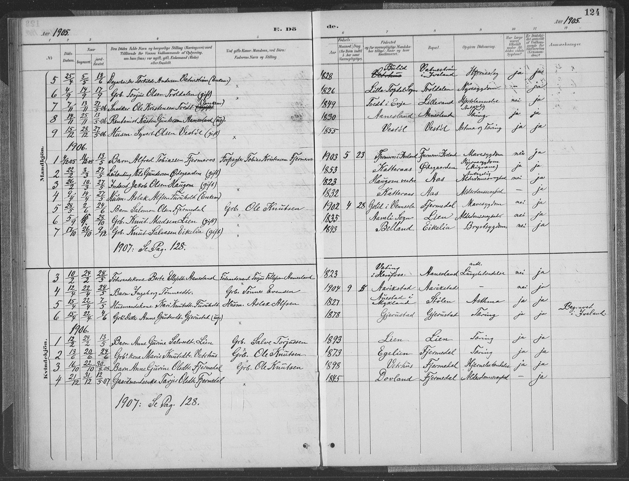 Herefoss sokneprestkontor, SAK/1111-0019/F/Fa/Fab/L0004: Parish register (official) no. A 4, 1887-1909, p. 124