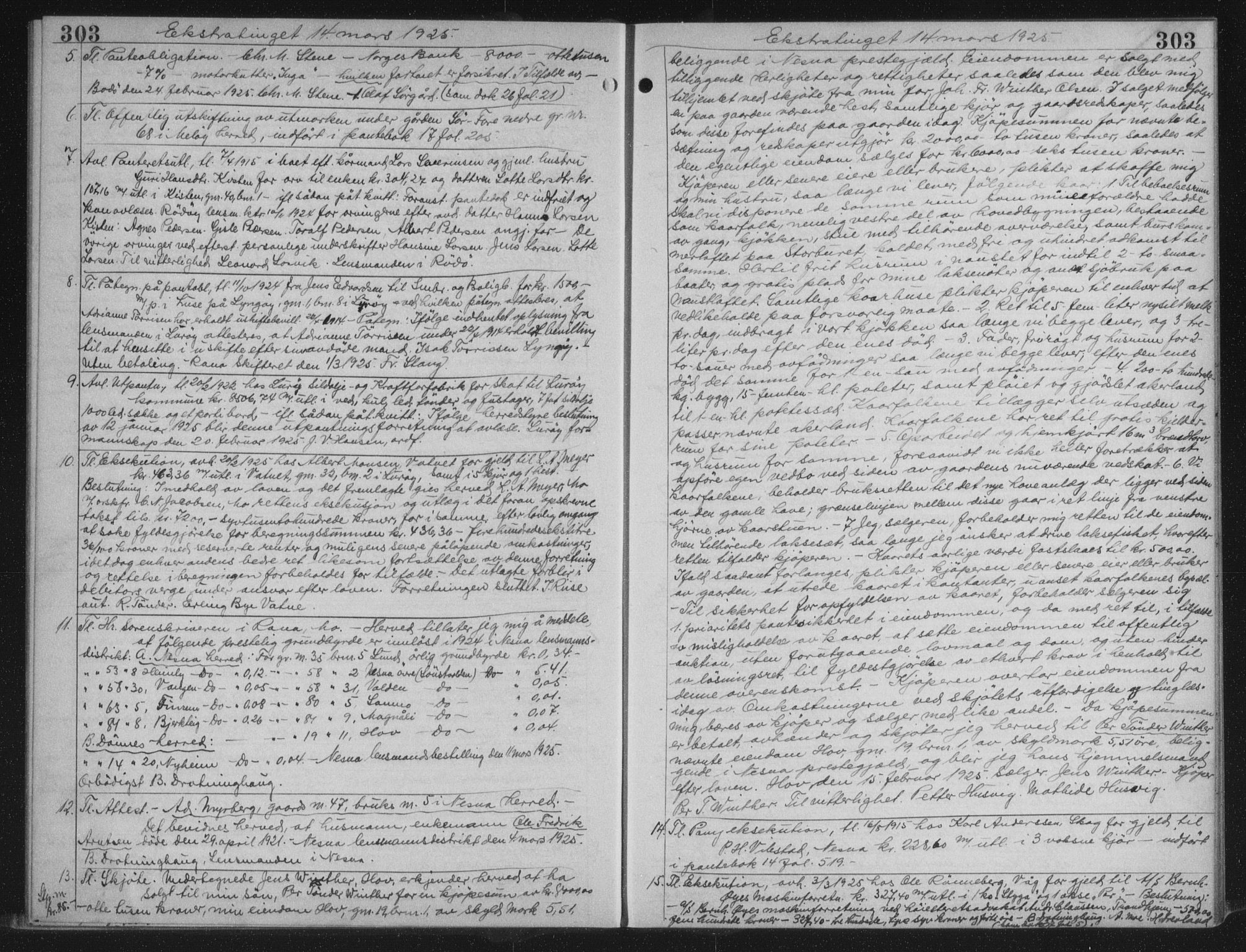 Rana sorenskriveri , AV/SAT-A-1108/1/2/2C/L0018: Mortgage book no. 18, 1923-1928, p. 303, Deed date: 14.03.1925