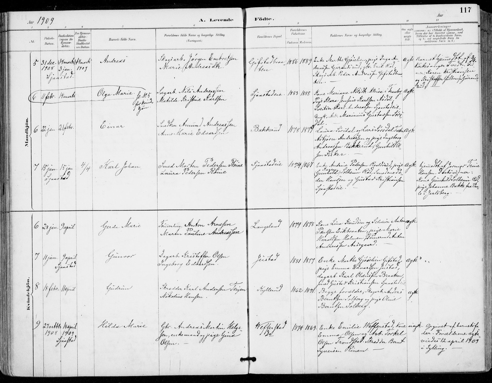 Sylling kirkebøker, AV/SAKO-A-247/F/Fa/L0001: Parish register (official) no. 1, 1883-1910, p. 117