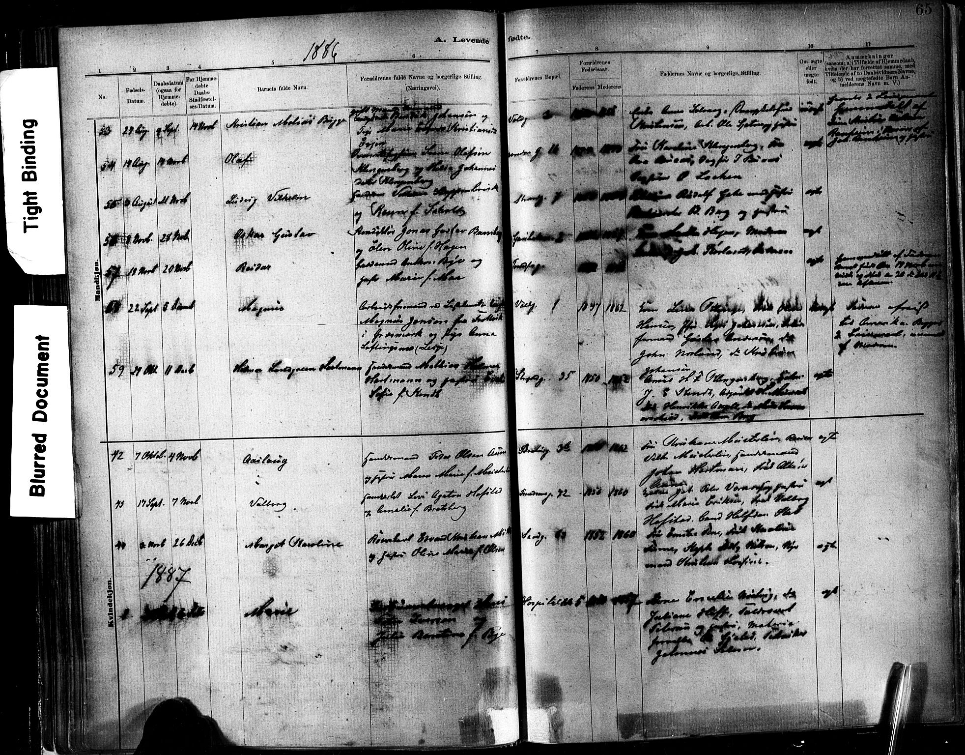 Ministerialprotokoller, klokkerbøker og fødselsregistre - Sør-Trøndelag, SAT/A-1456/602/L0119: Parish register (official) no. 602A17, 1880-1901, p. 65