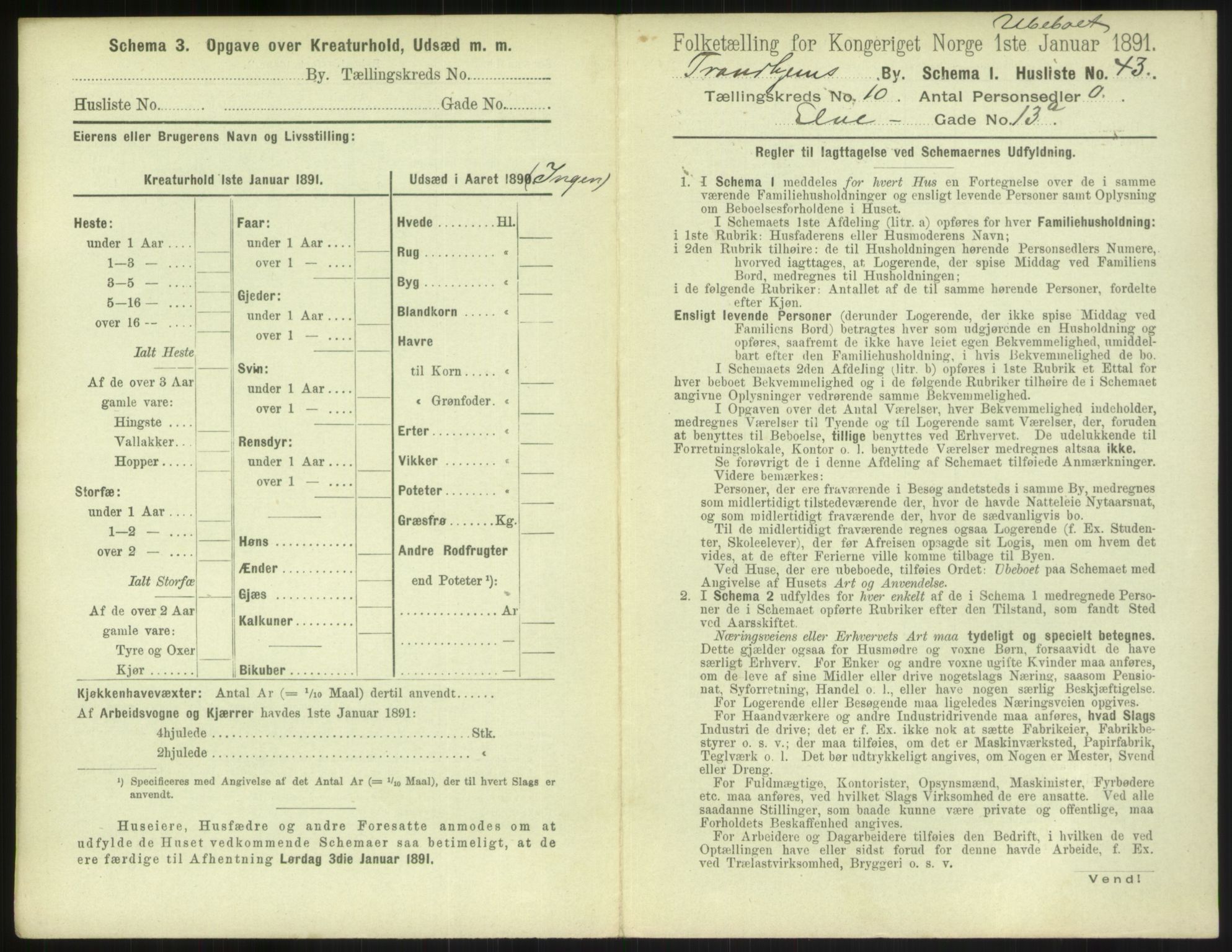 RA, 1891 census for 1601 Trondheim, 1891, p. 1238