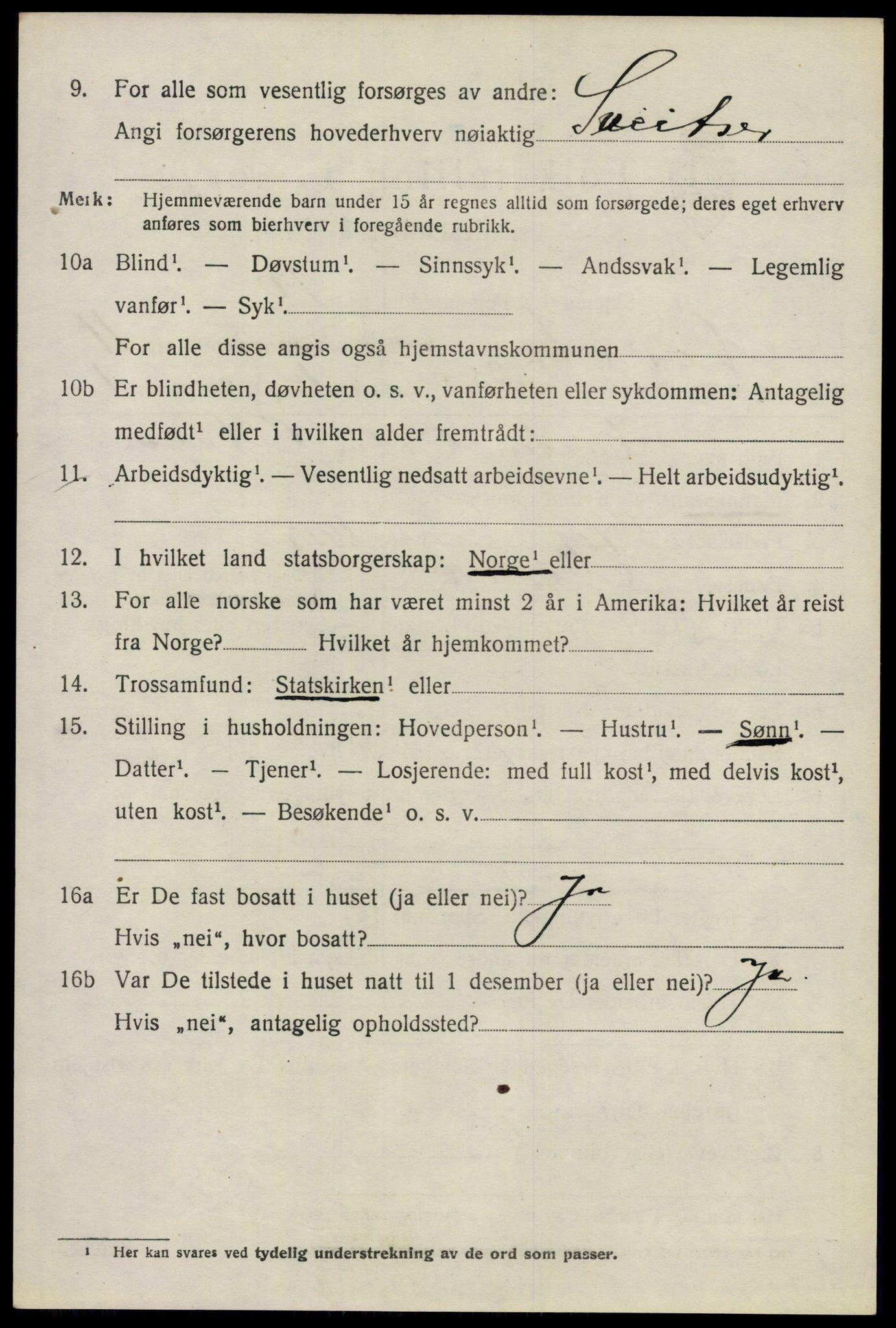 SAO, 1920 census for Nes, 1920, p. 11839