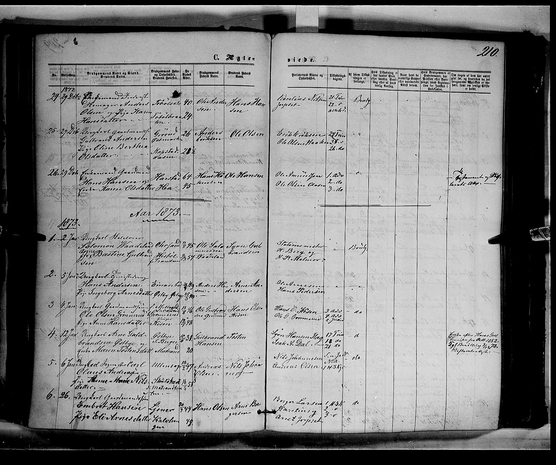 Eidskog prestekontor, AV/SAH-PREST-026/H/Ha/Haa/L0002: Parish register (official) no. 2, 1867-1878, p. 210