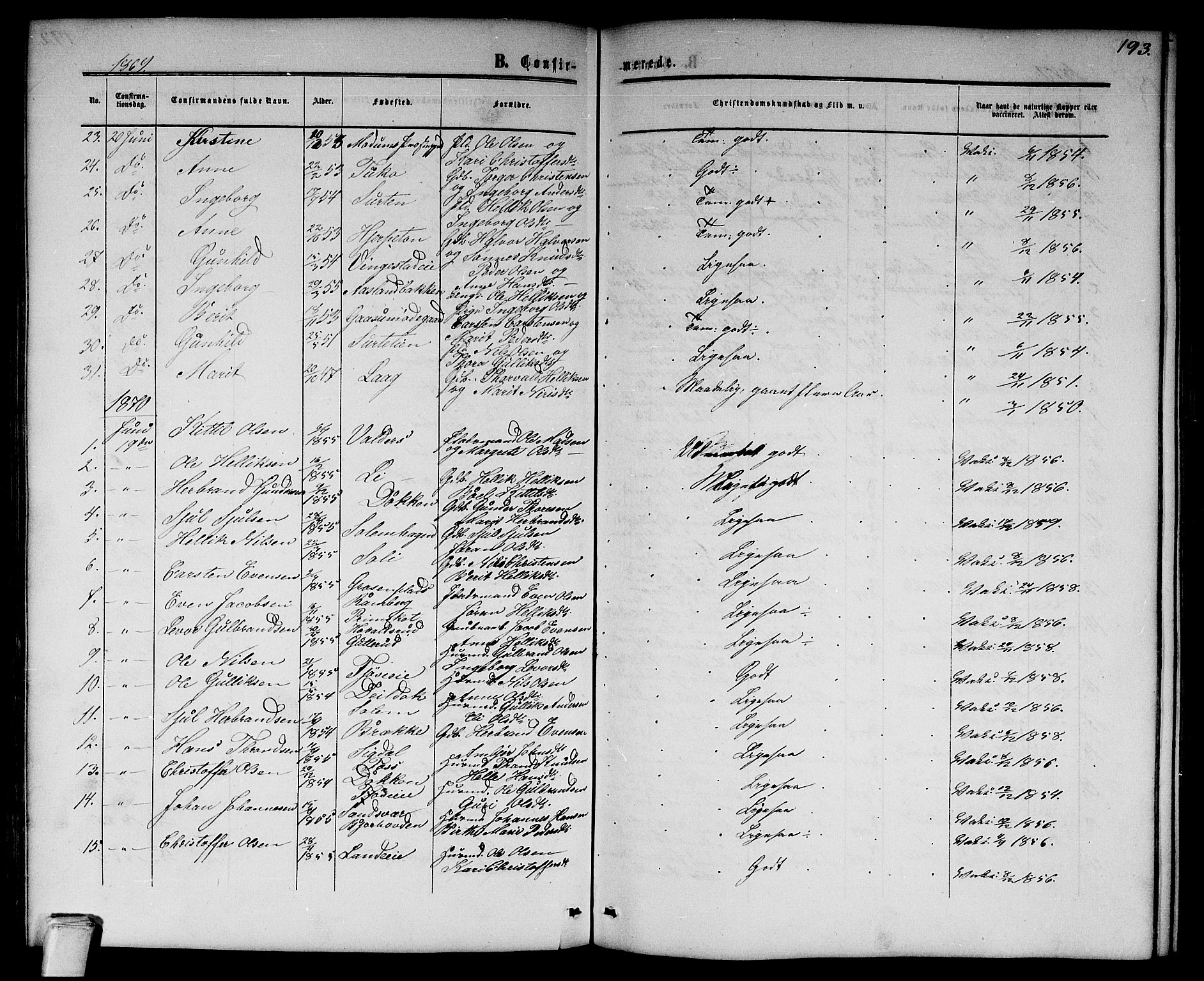 Flesberg kirkebøker, AV/SAKO-A-18/G/Ga/L0003: Parish register (copy) no. I 3, 1861-1889, p. 193