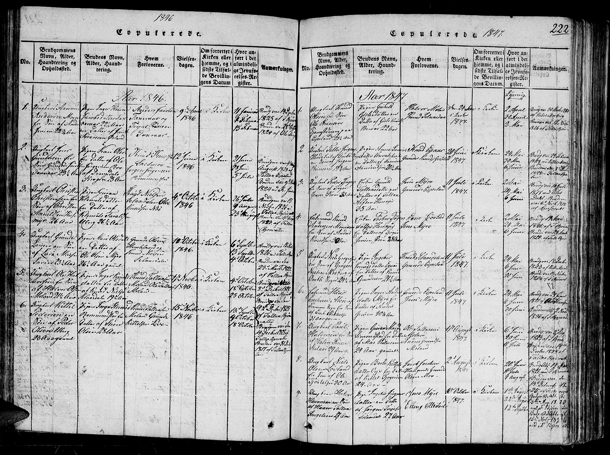 Gjerstad sokneprestkontor, SAK/1111-0014/F/Fb/Fbb/L0001: Parish register (copy) no. B 1, 1813-1863, p. 222