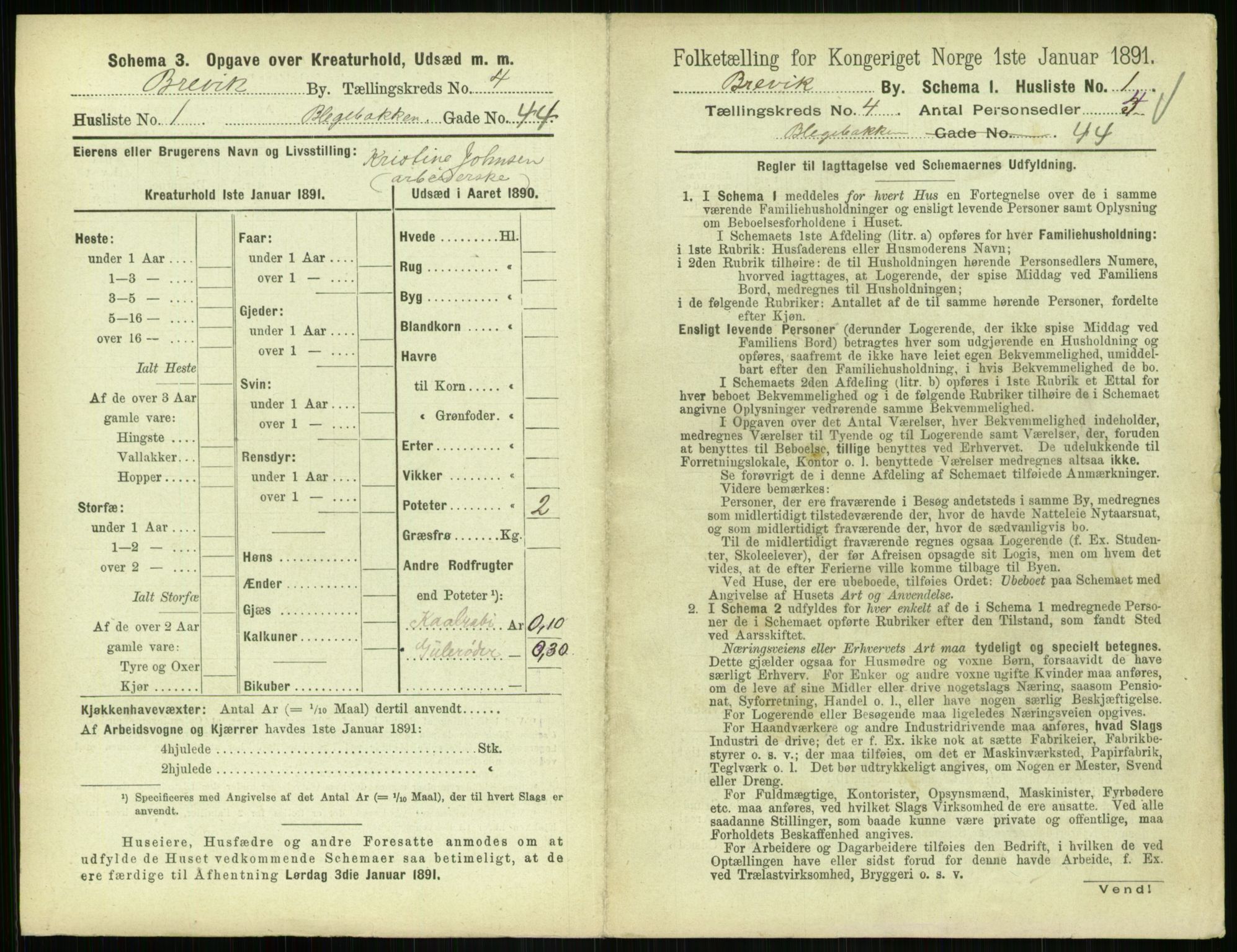 RA, 1891 census for 0804 Brevik, 1891, p. 685