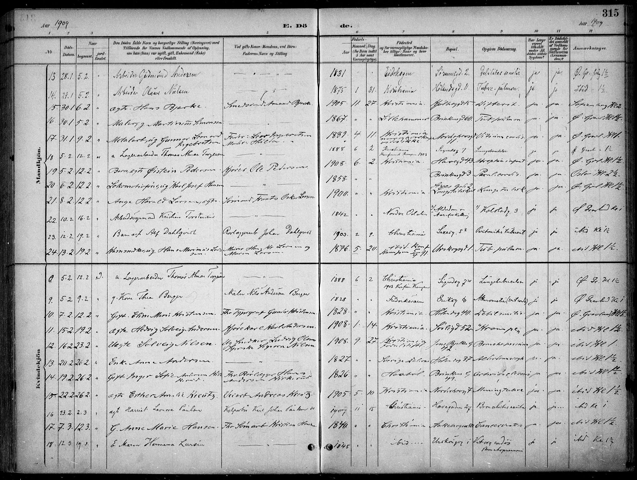 Kampen prestekontor Kirkebøker, AV/SAO-A-10853/F/Fa/L0009: Parish register (official) no. I 9, 1899-1911, p. 315