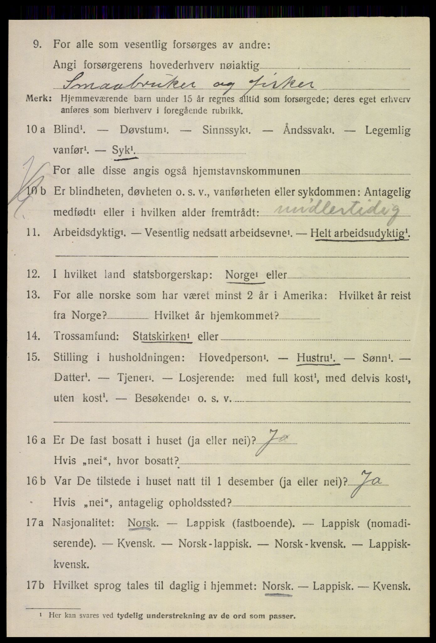 SAT, 1920 census for Hamarøy, 1920, p. 2945