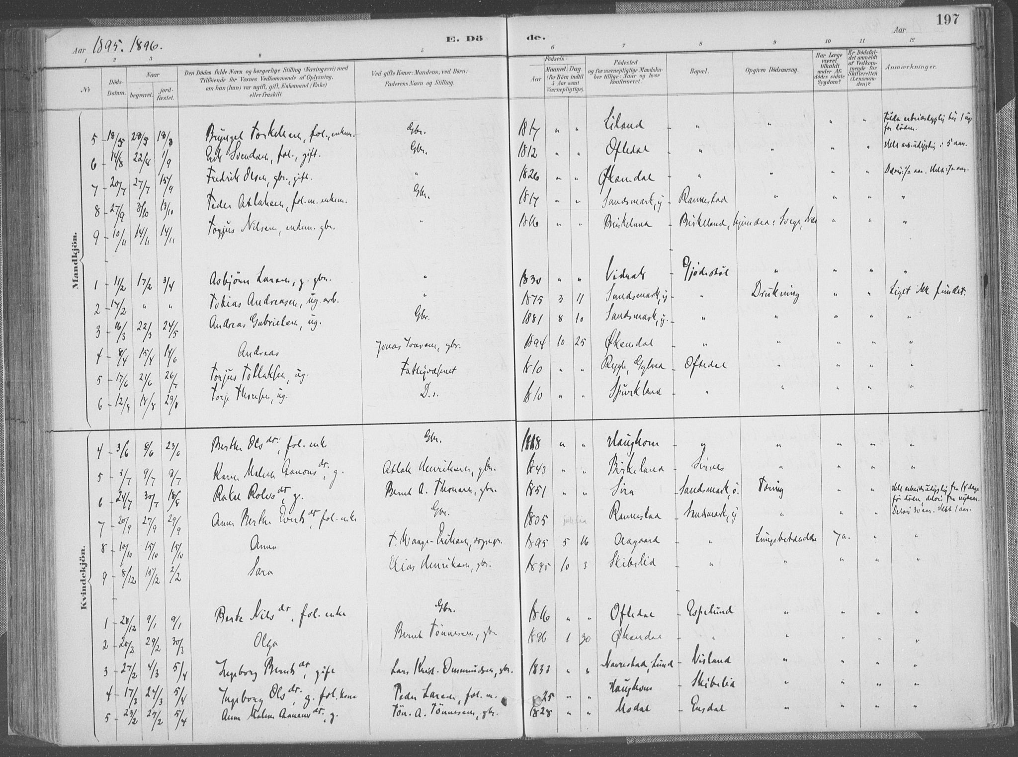 Bakke sokneprestkontor, SAK/1111-0002/F/Fa/Faa/L0008: Parish register (official) no. A 8, 1887-1911, p. 197