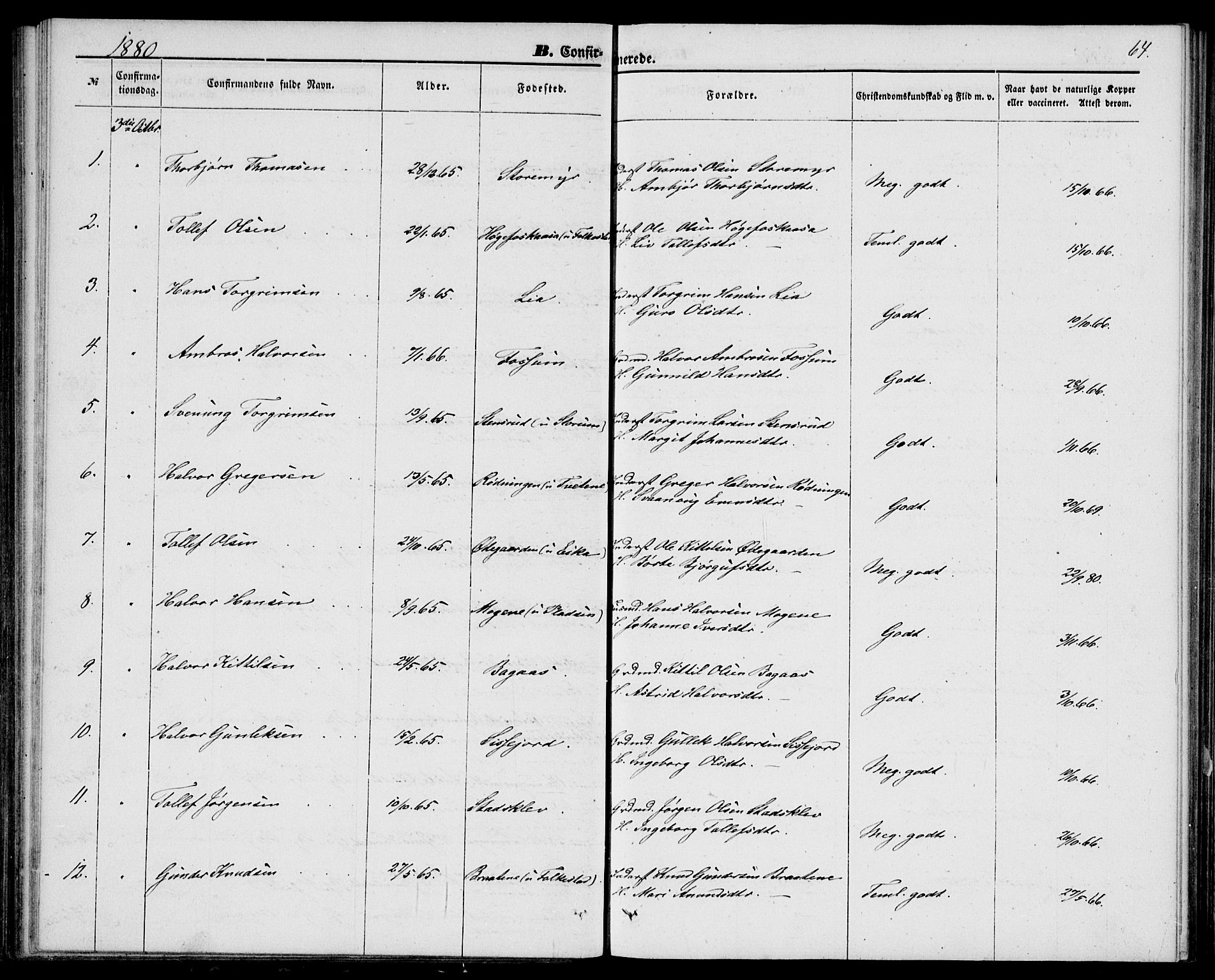 Bø kirkebøker, SAKO/A-257/G/Ga/L0004: Parish register (copy) no. 4, 1876-1882, p. 64