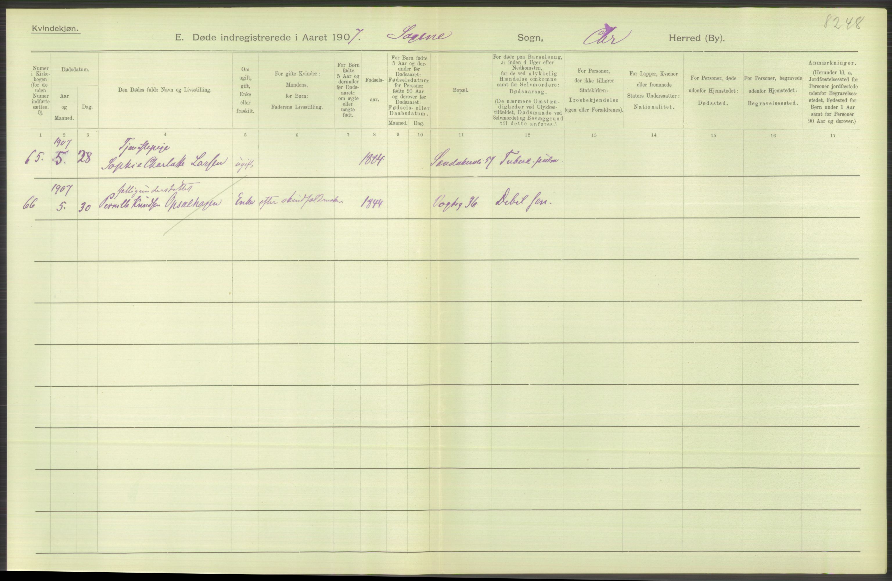 Statistisk sentralbyrå, Sosiodemografiske emner, Befolkning, AV/RA-S-2228/D/Df/Dfa/Dfae/L0009: Kristiania: Døde, 1907, p. 46