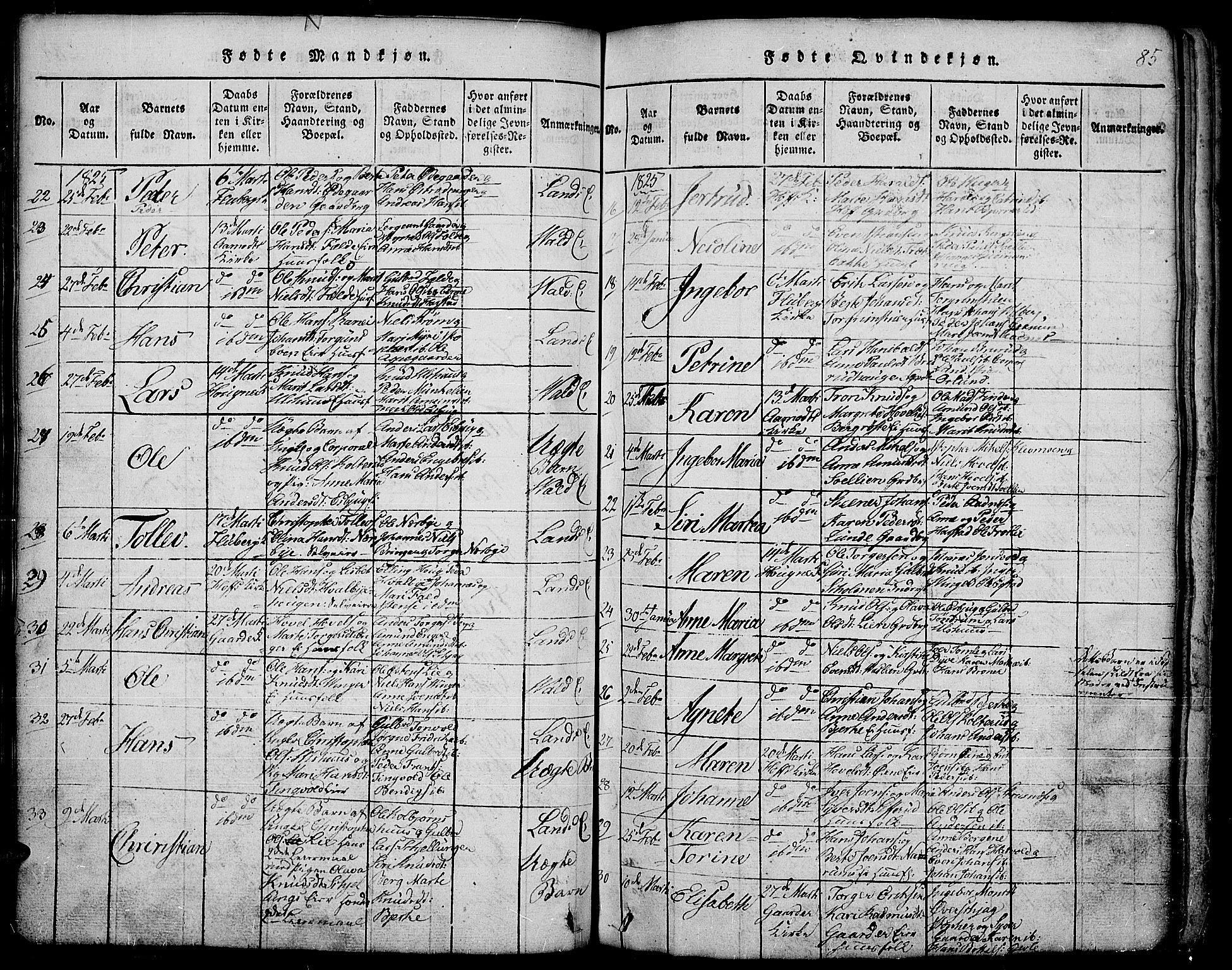 Land prestekontor, SAH/PREST-120/H/Ha/Hab/L0001: Parish register (copy) no. 1, 1814-1833, p. 85