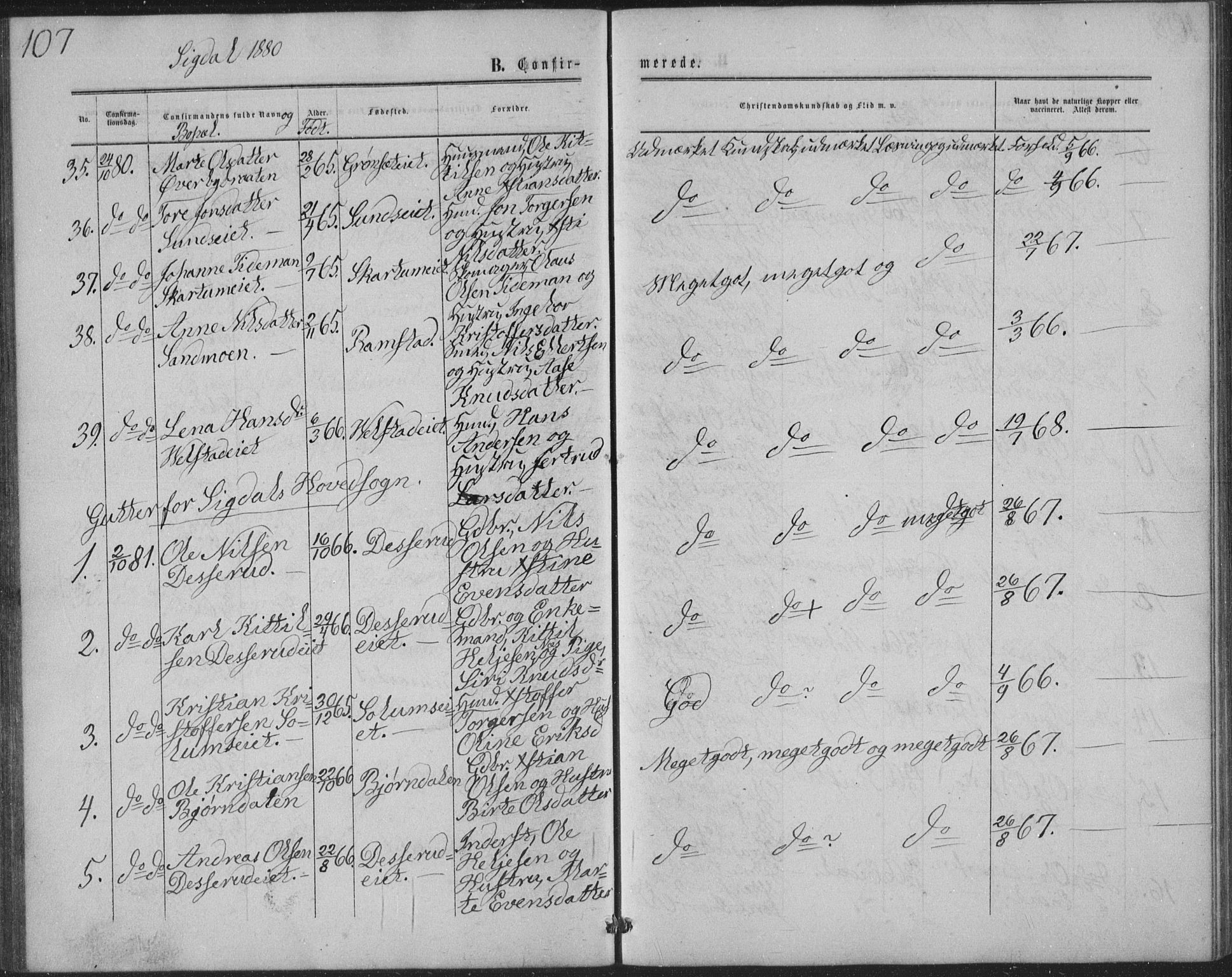 Sigdal kirkebøker, AV/SAKO-A-245/G/Ga/L0004: Parish register (copy) no. I 4, 1879-1885, p. 107