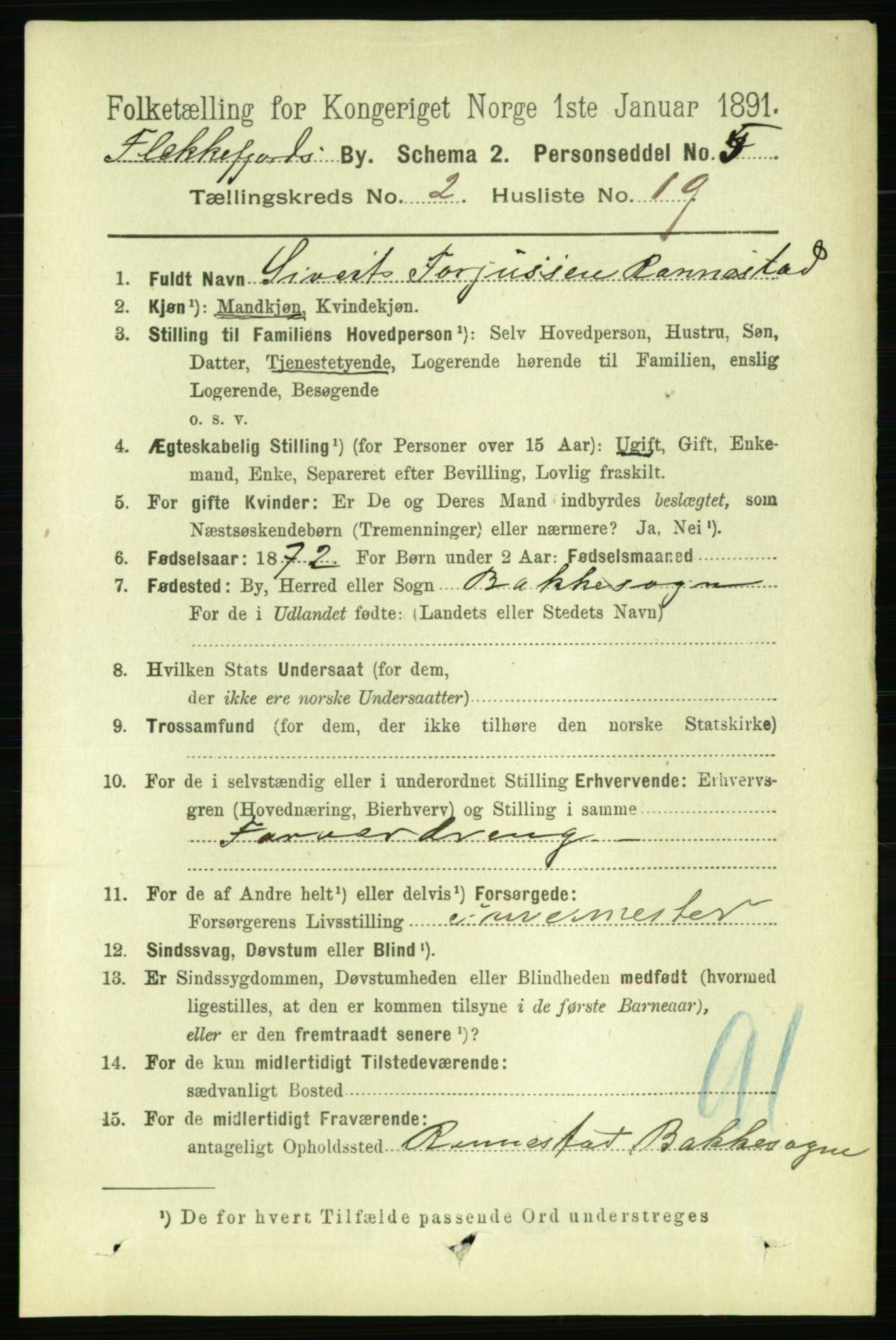 RA, 1891 census for 1004 Flekkefjord, 1891, p. 916