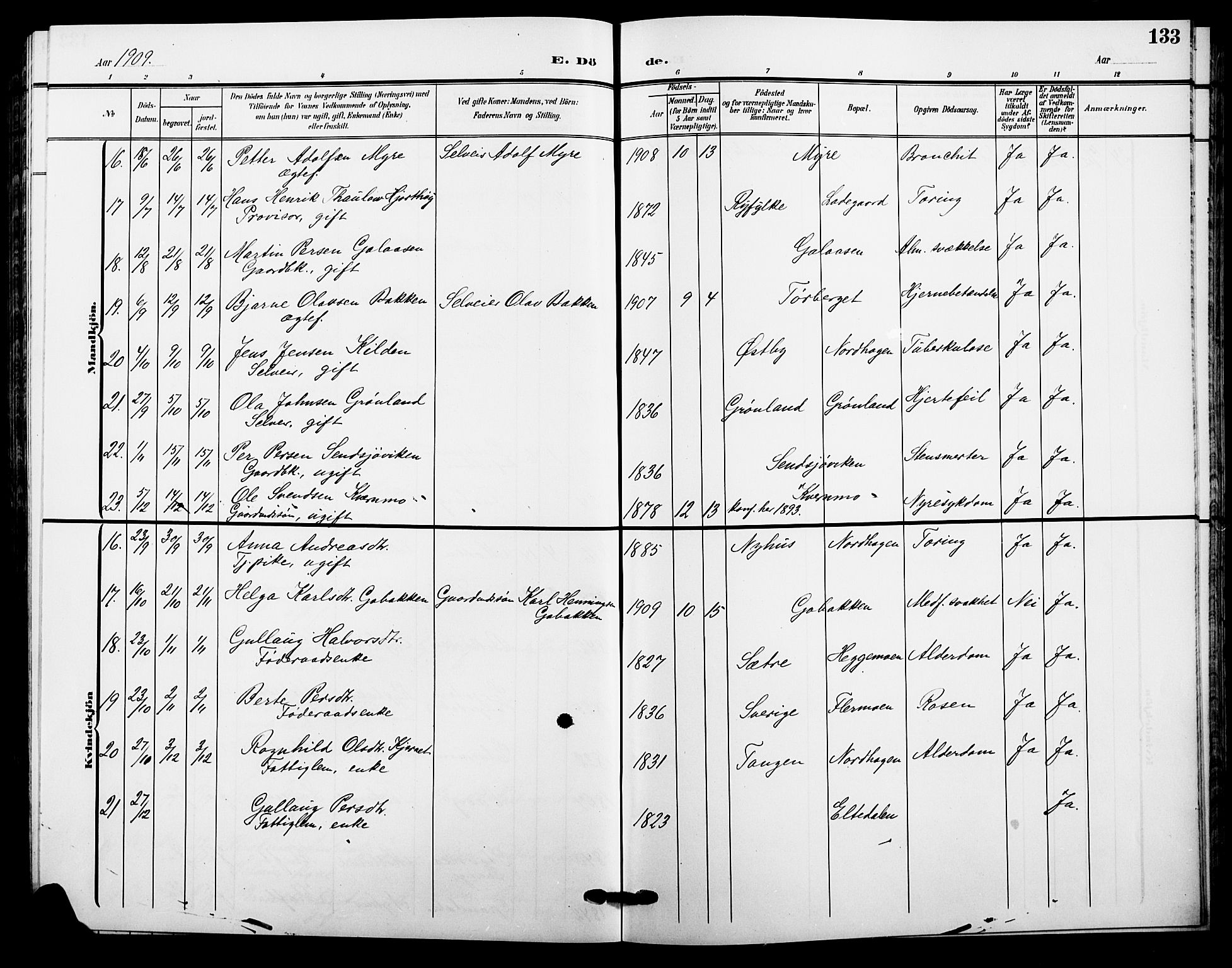 Trysil prestekontor, AV/SAH-PREST-046/H/Ha/Hab/L0009: Parish register (copy) no. 9, 1904-1924, p. 133