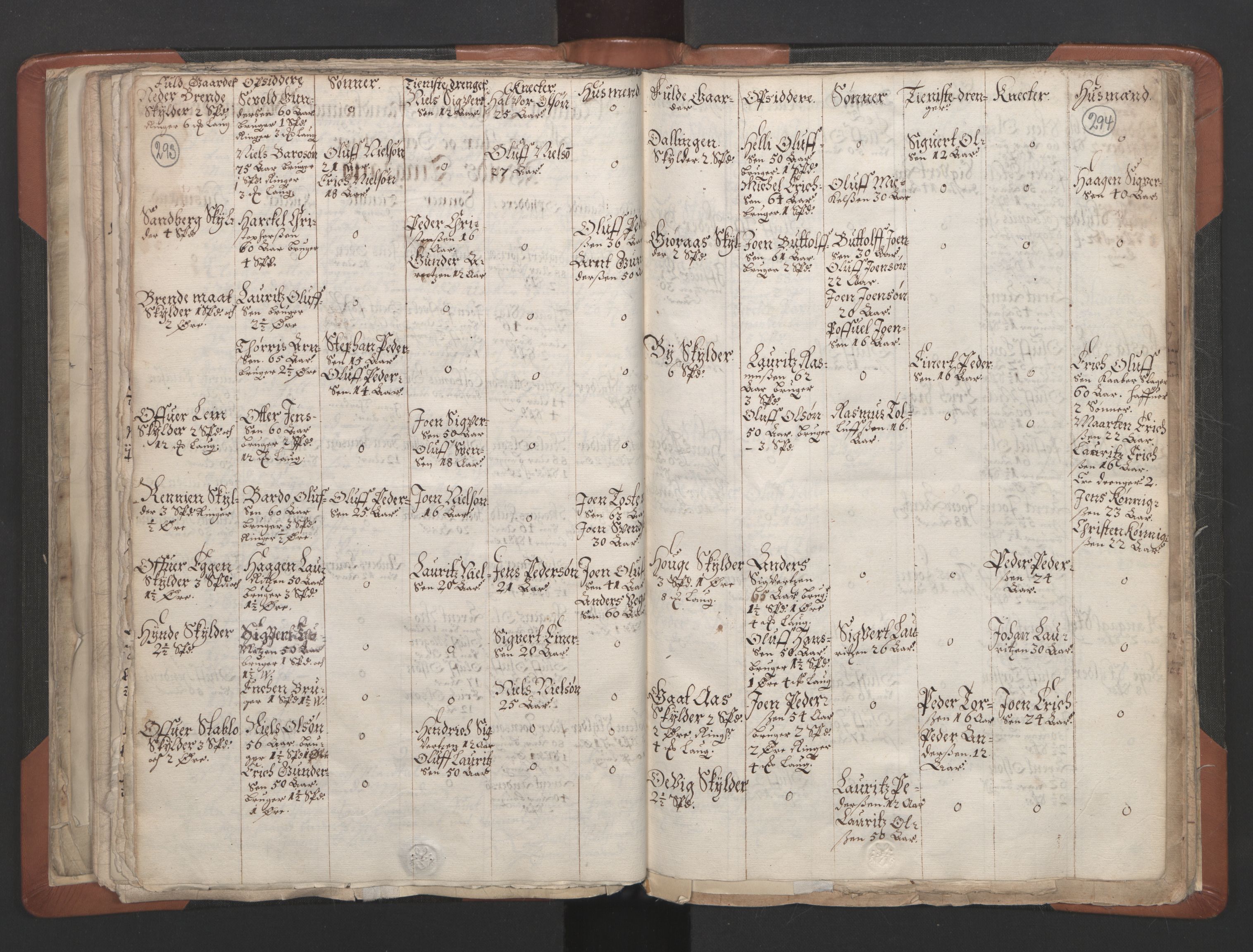 RA, Vicar's Census 1664-1666, no. 32: Innherad deanery, 1664-1666, p. 293-294