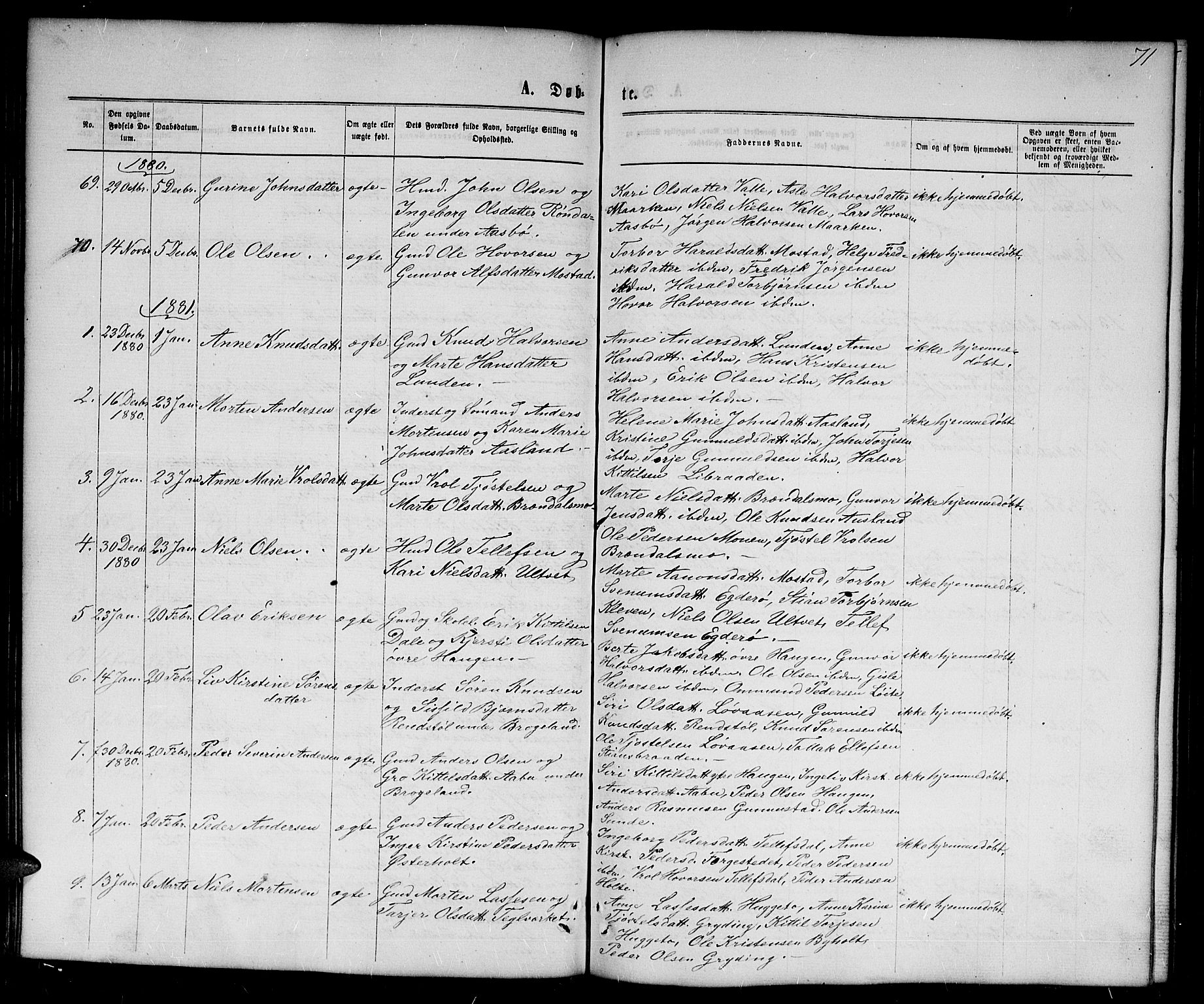 Gjerstad sokneprestkontor, SAK/1111-0014/F/Fb/Fba/L0006: Parish register (copy) no. B 6, 1868-1890, p. 71