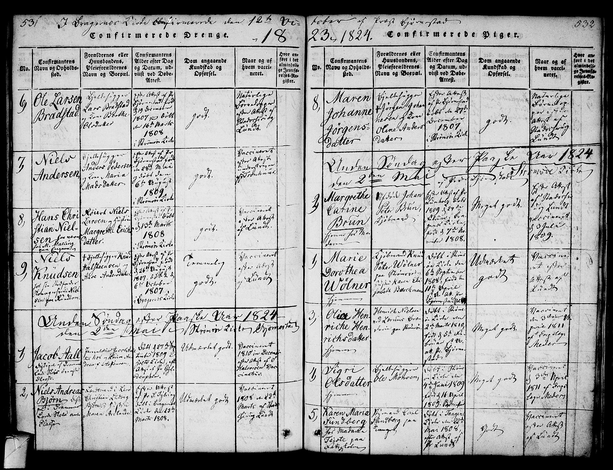 Strømsø kirkebøker, SAKO/A-246/F/Fa/L0011: Parish register (official) no. I 11, 1815-1829, p. 531-532