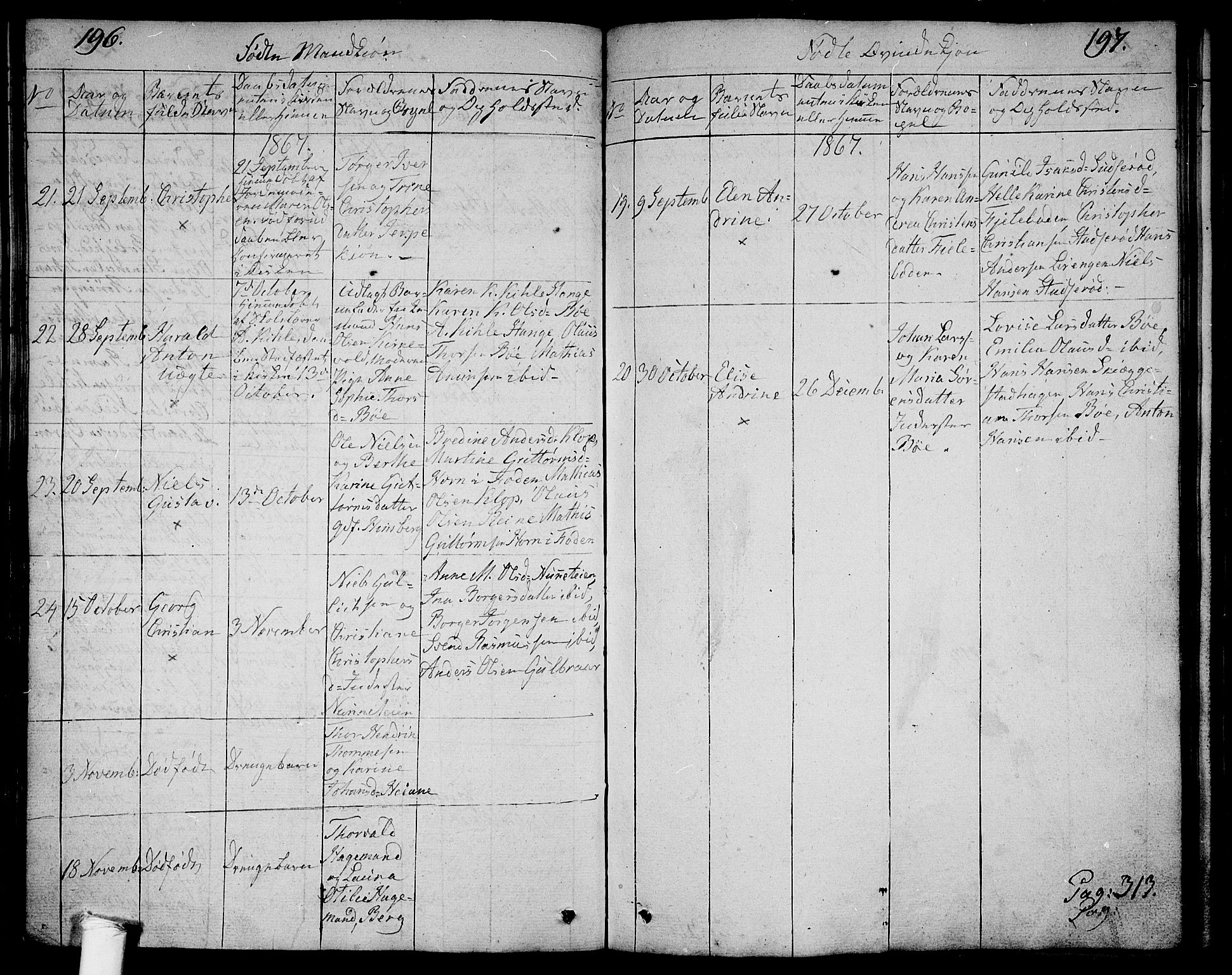 Ramnes kirkebøker, AV/SAKO-A-314/G/Ga/L0002: Parish register (copy) no. I 2, 1848-1870, p. 196-197