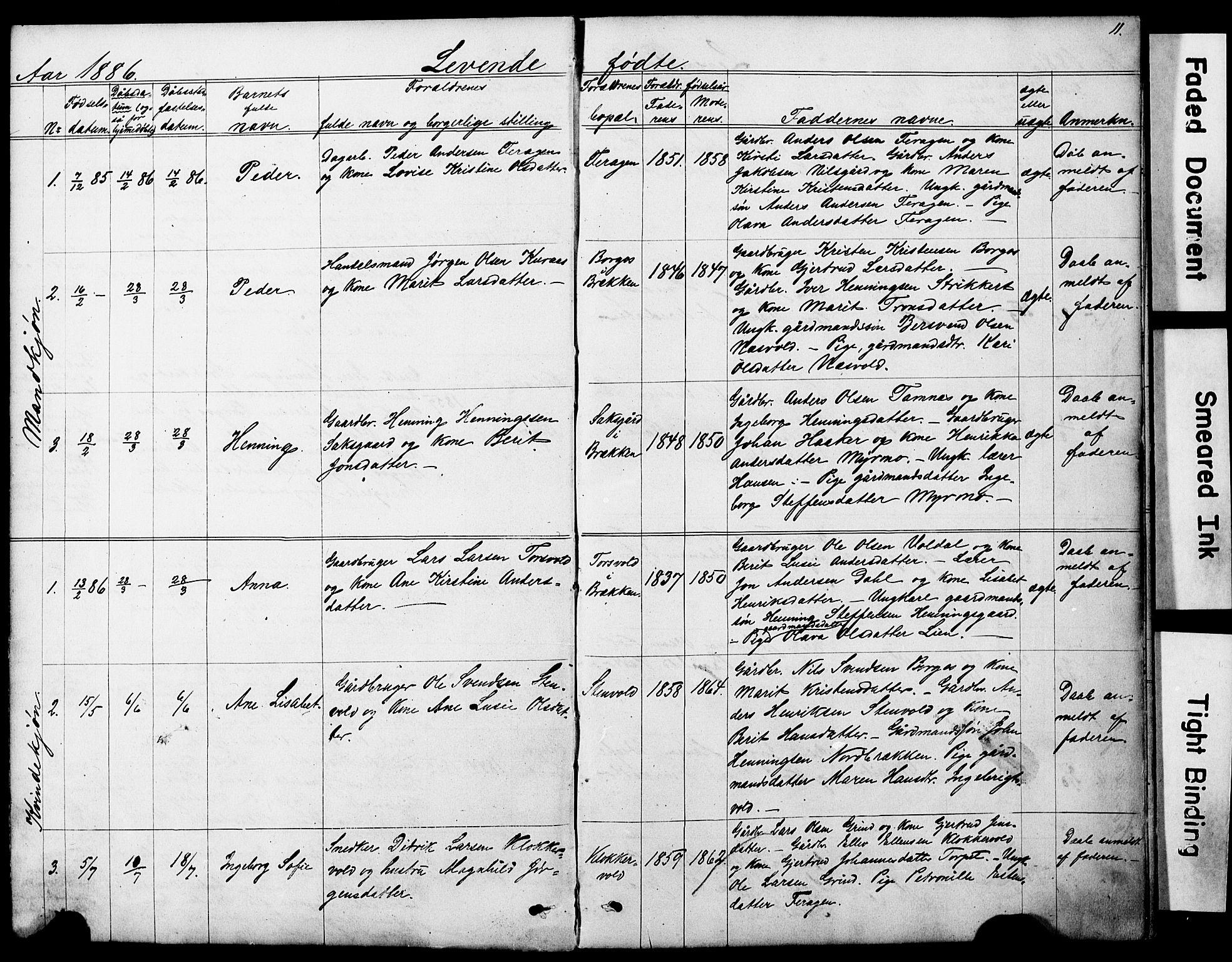 Ministerialprotokoller, klokkerbøker og fødselsregistre - Sør-Trøndelag, AV/SAT-A-1456/683/L0949: Parish register (copy) no. 683C01, 1880-1896, p. 11