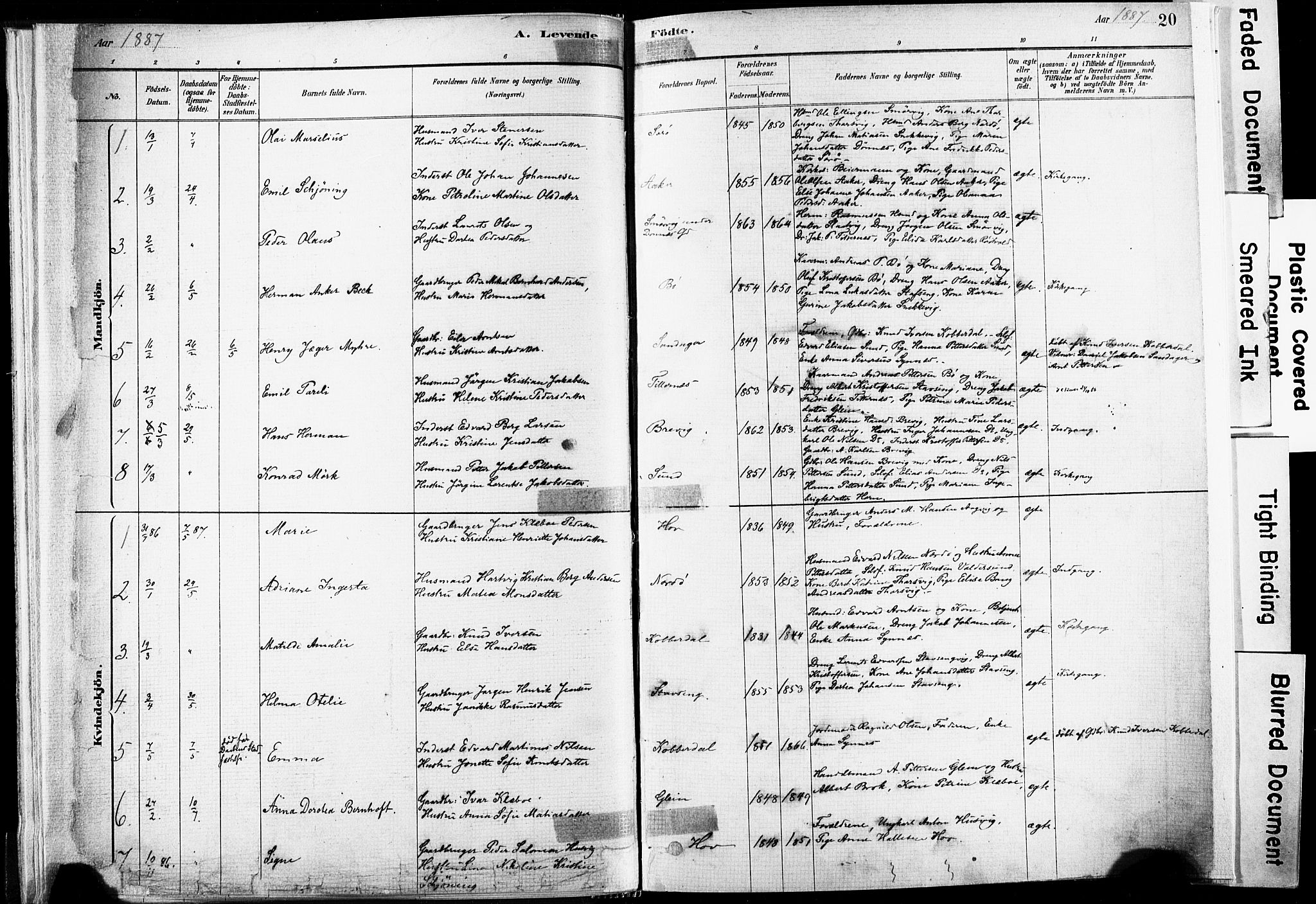 Ministerialprotokoller, klokkerbøker og fødselsregistre - Nordland, SAT/A-1459/835/L0525: Parish register (official) no. 835A03I, 1881-1910, p. 20