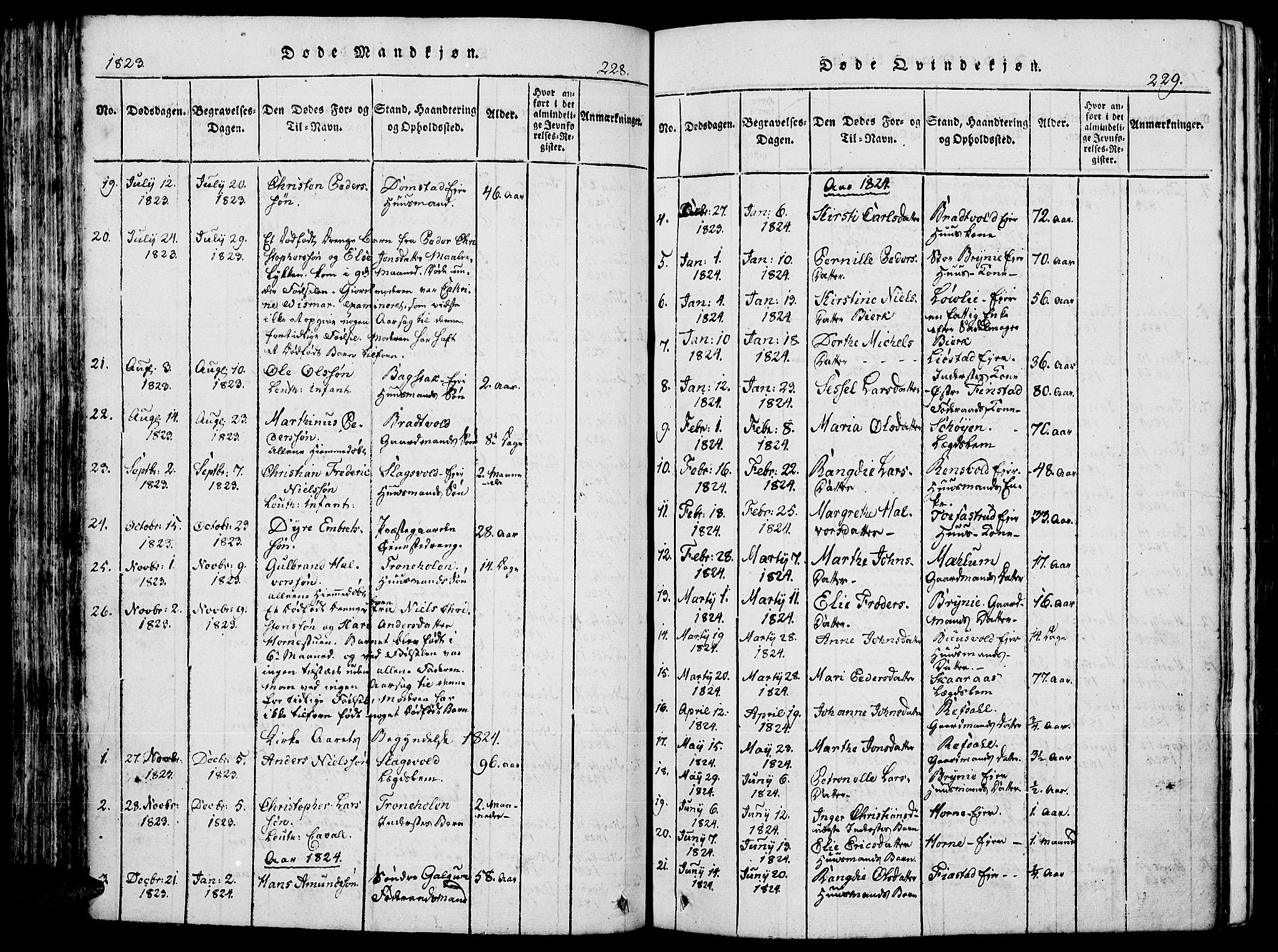 Romedal prestekontor, SAH/PREST-004/K/L0002: Parish register (official) no. 2, 1814-1828, p. 228-229