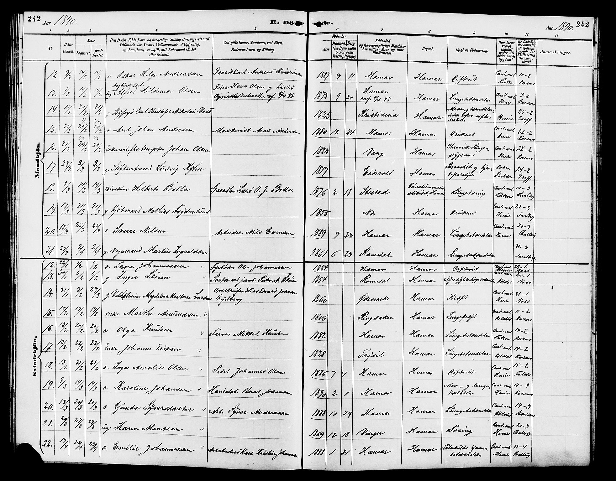 Vang prestekontor, Hedmark, AV/SAH-PREST-008/H/Ha/Hab/L0013: Parish register (copy) no. 13, 1890-1899, p. 242