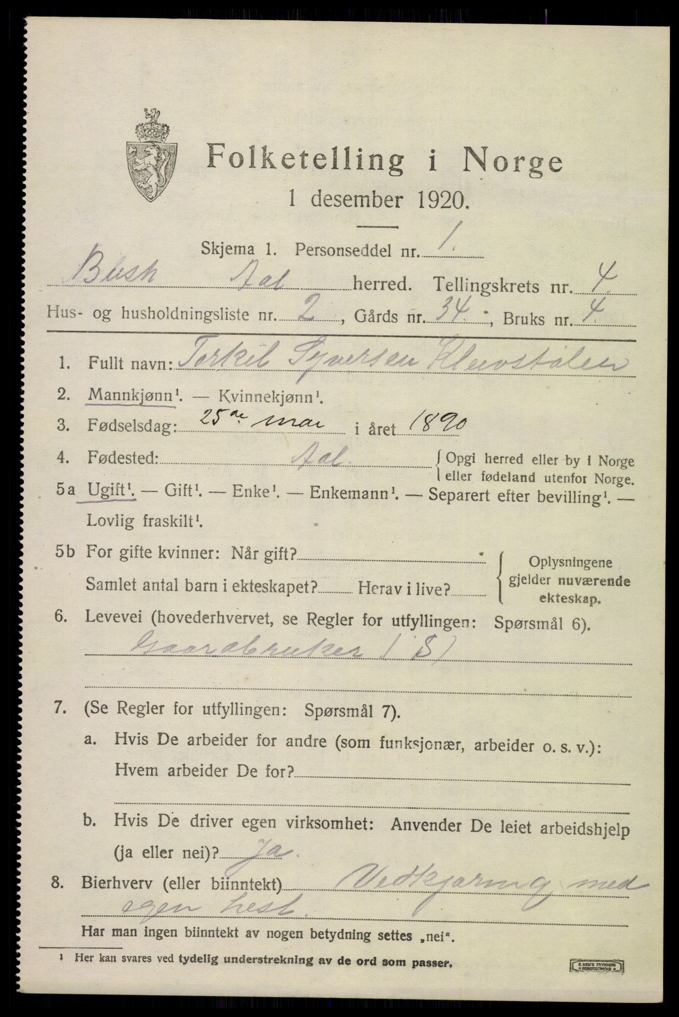 SAKO, 1920 census for Ål, 1920, p. 3078