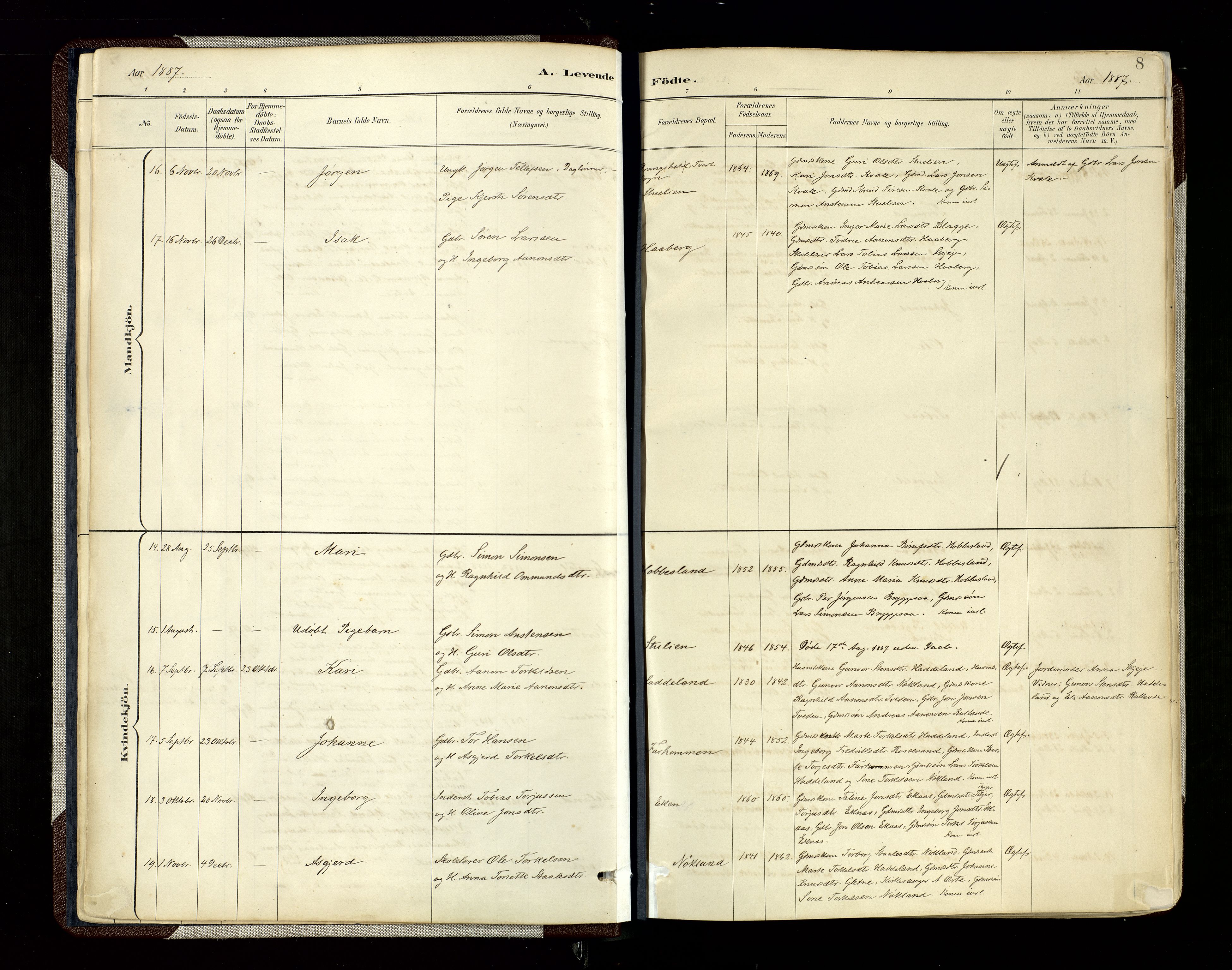 Hægebostad sokneprestkontor, SAK/1111-0024/F/Fa/Fab/L0004: Parish register (official) no. A 4, 1887-1929, p. 8