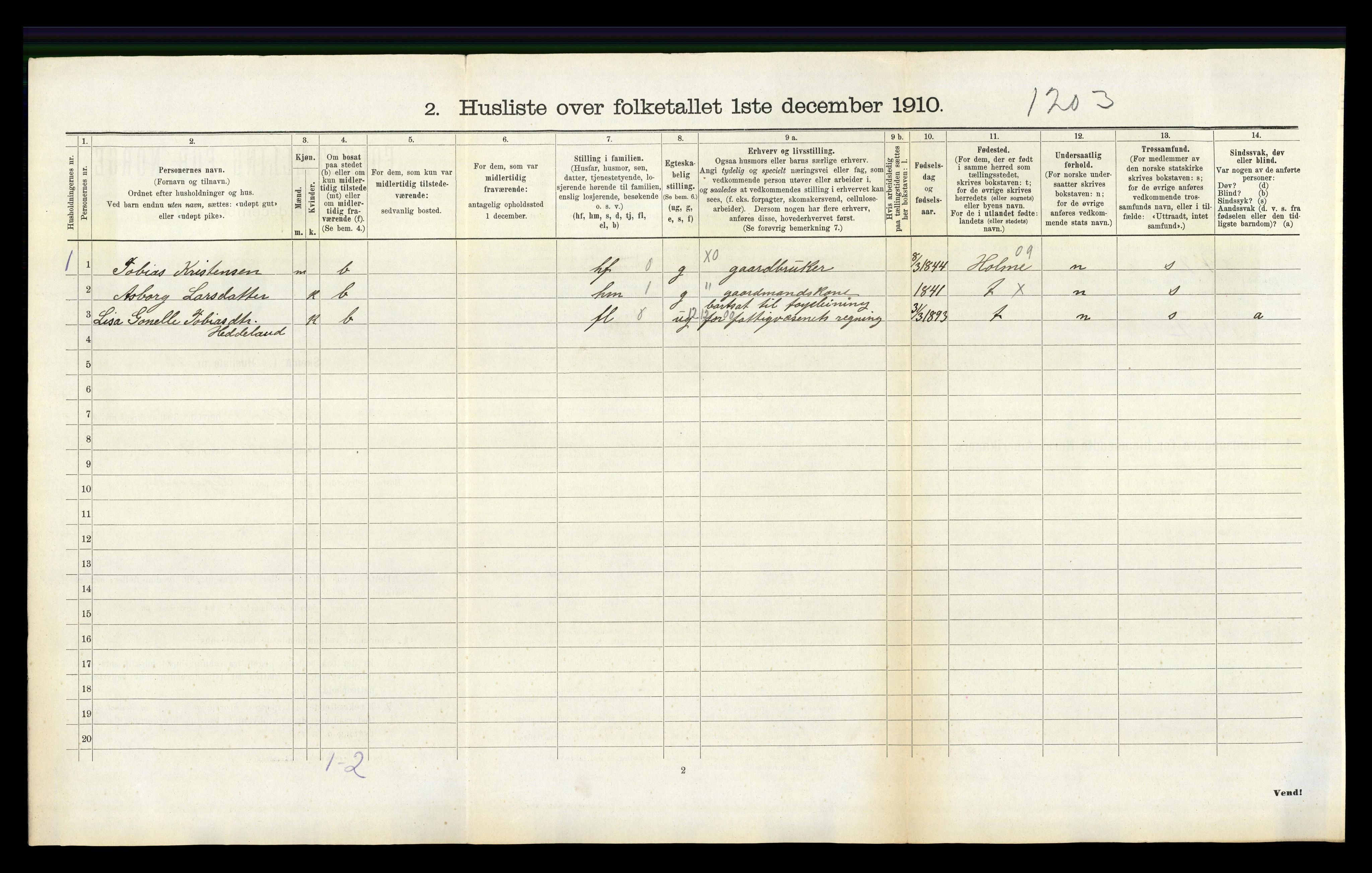 RA, 1910 census for Øyslebø, 1910, p. 245